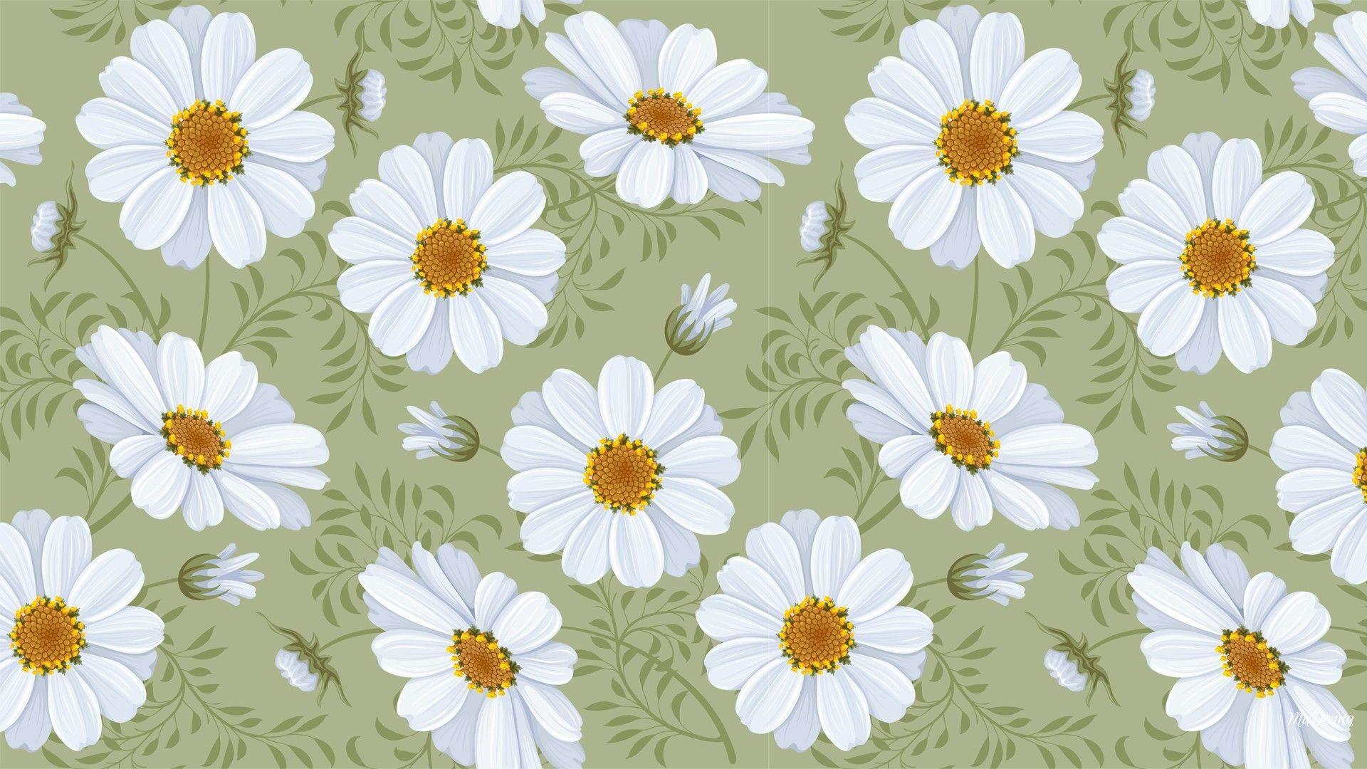 Spring Daisy Wallpaper 7027734