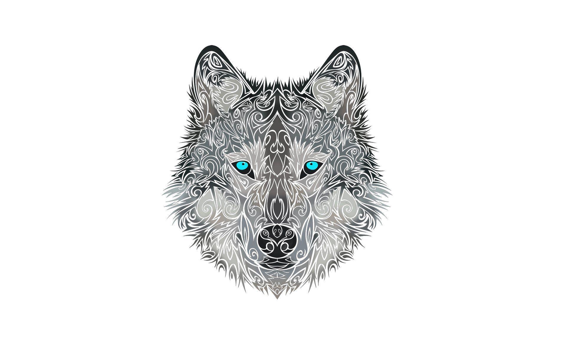 wolf head face wolf dog style HD wallpaper