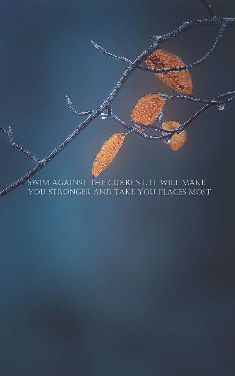 will, people Quotes Wallpaper against the current, it will