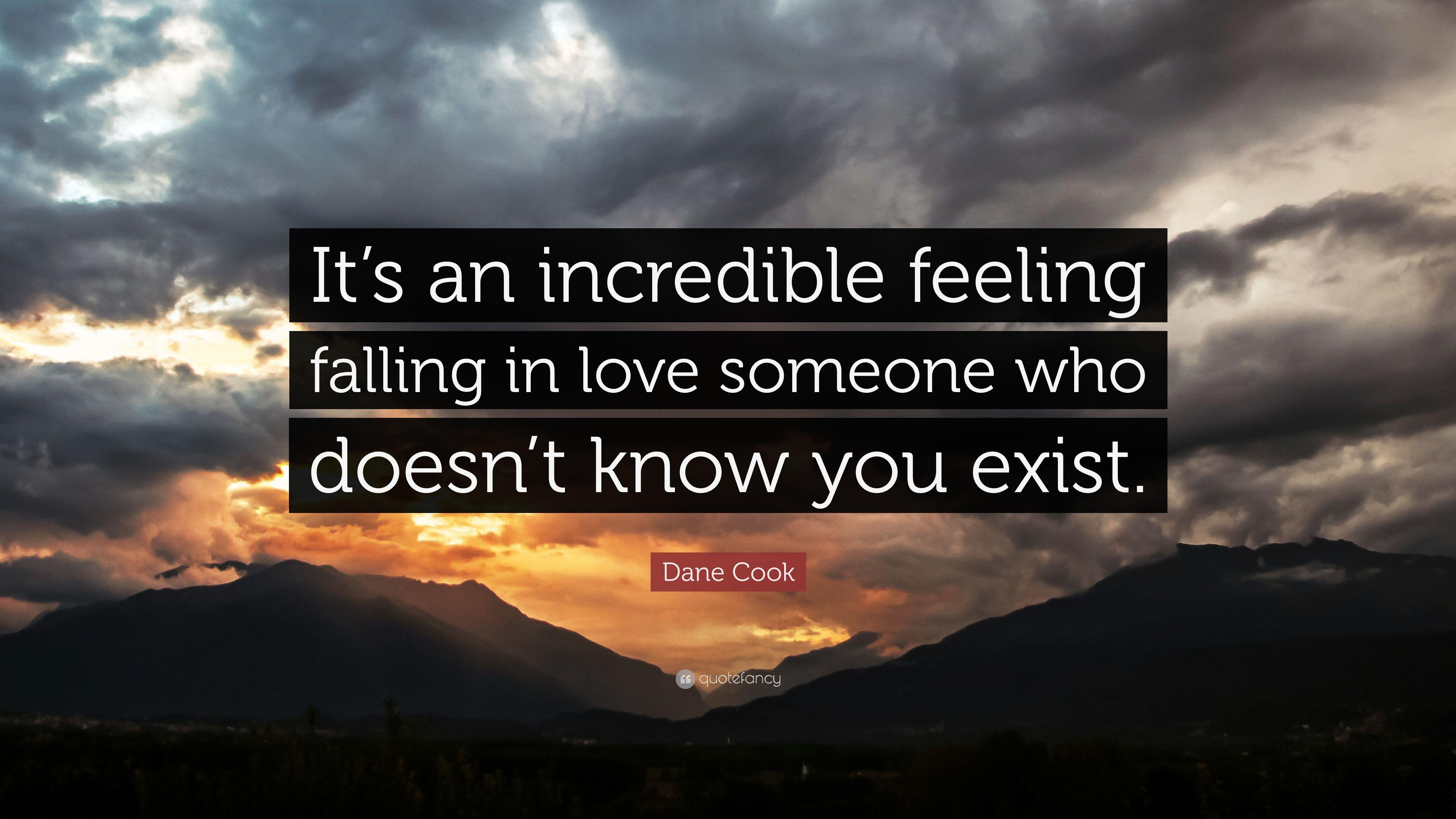 Dane Cook Quote: “It's an incredible feeling falling in love