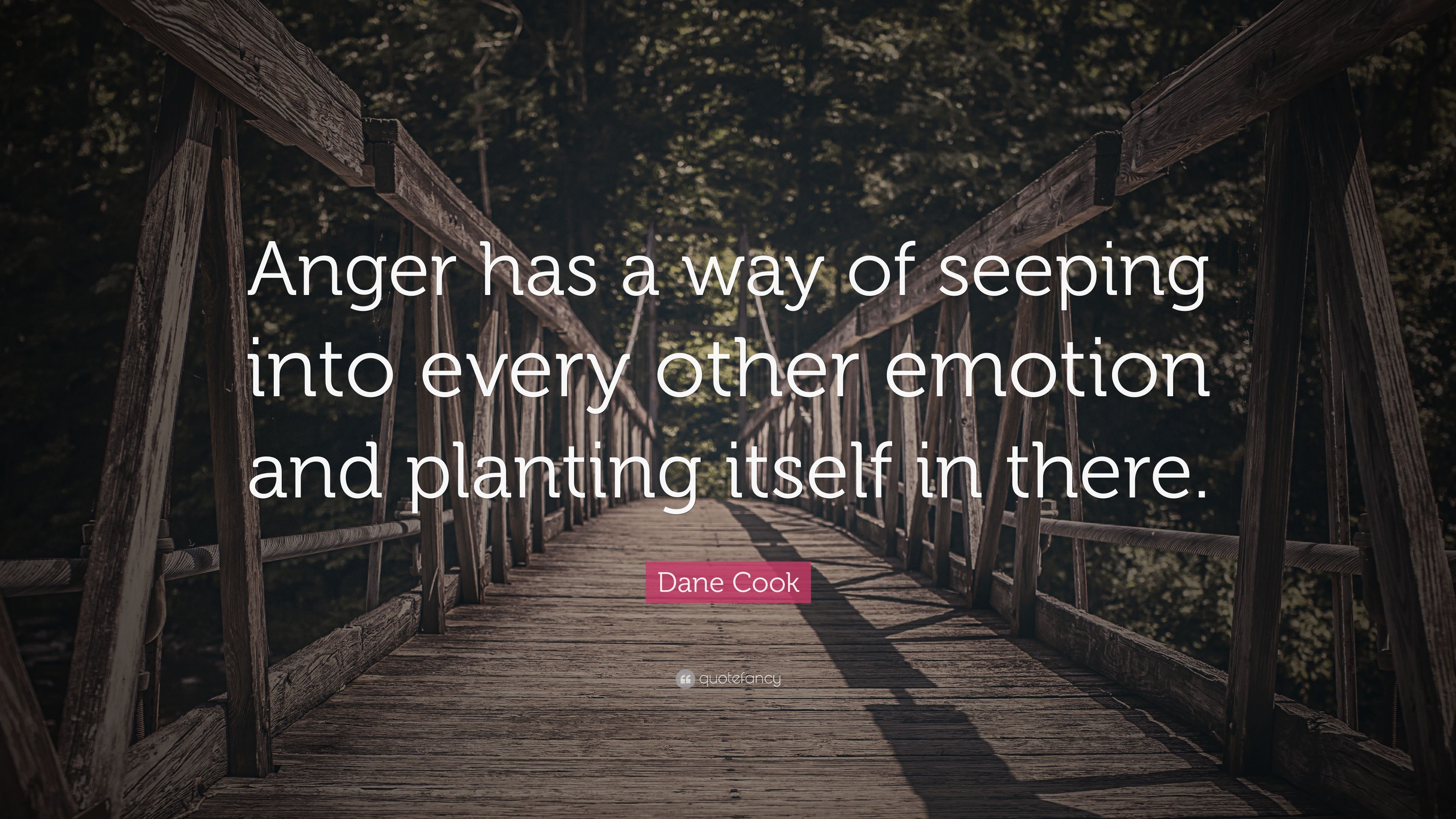 Dane Cook Quote: “Anger has a way of seeping into every other