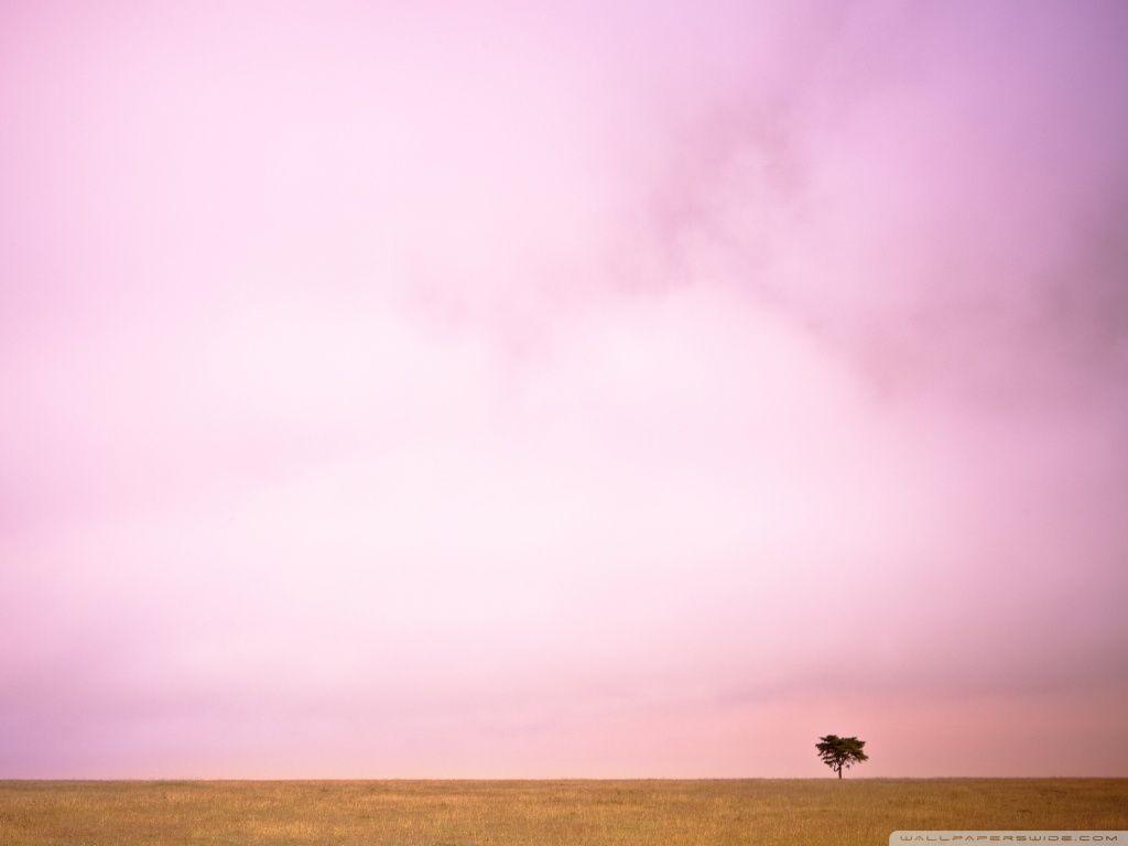 Pink Sky And Lone Tree ❤ 4K HD Desktop Wallpaper for 4K Ultra HD