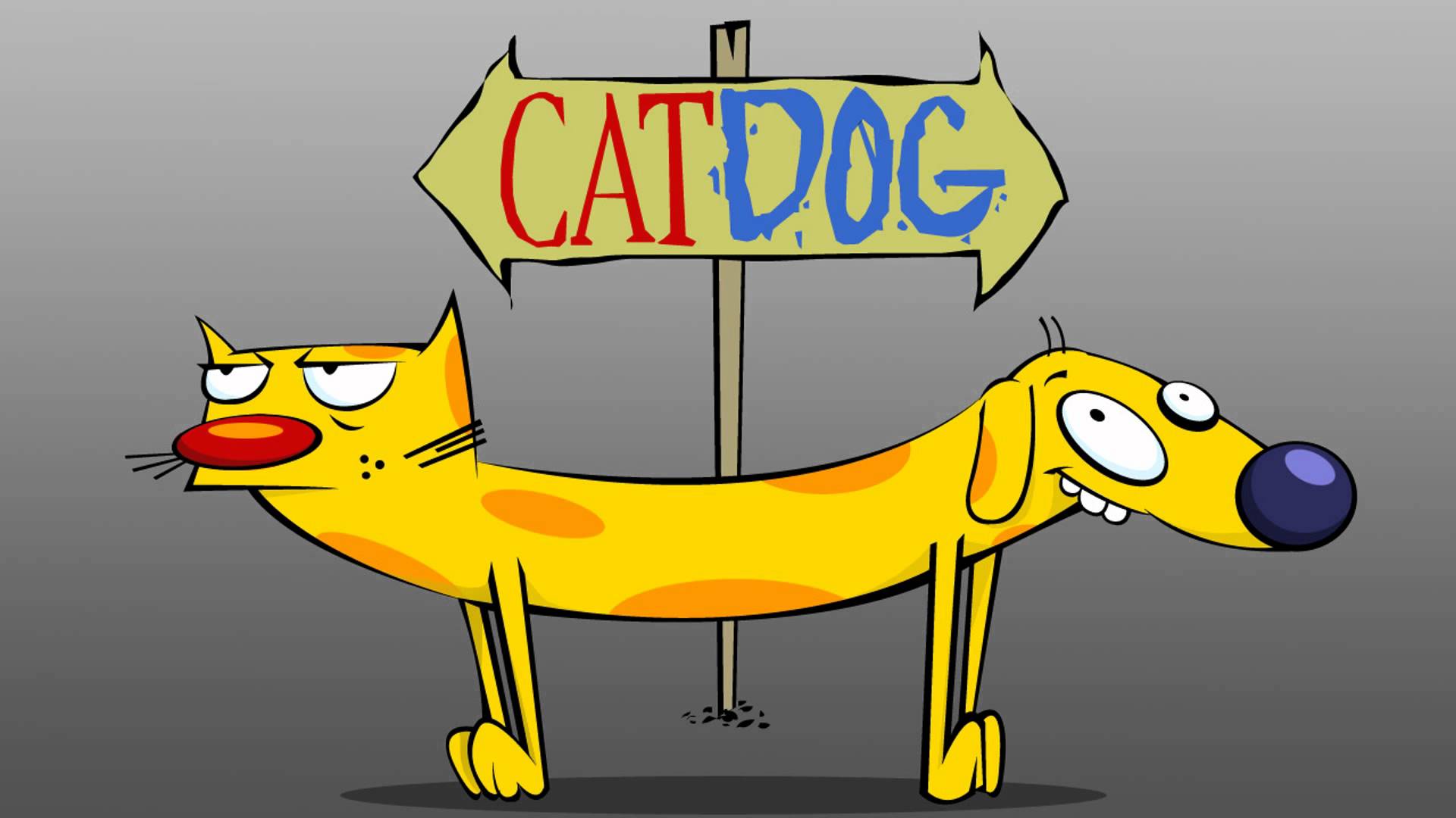 catdog wallpaper