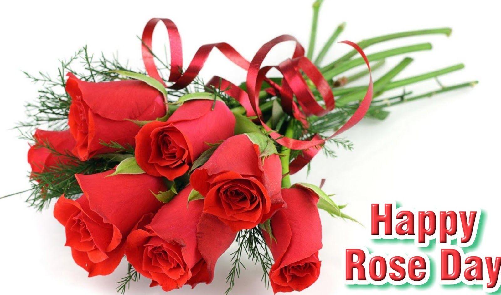 Happy Rose Day 2019 Image, Quotes, Wishes & Shayari