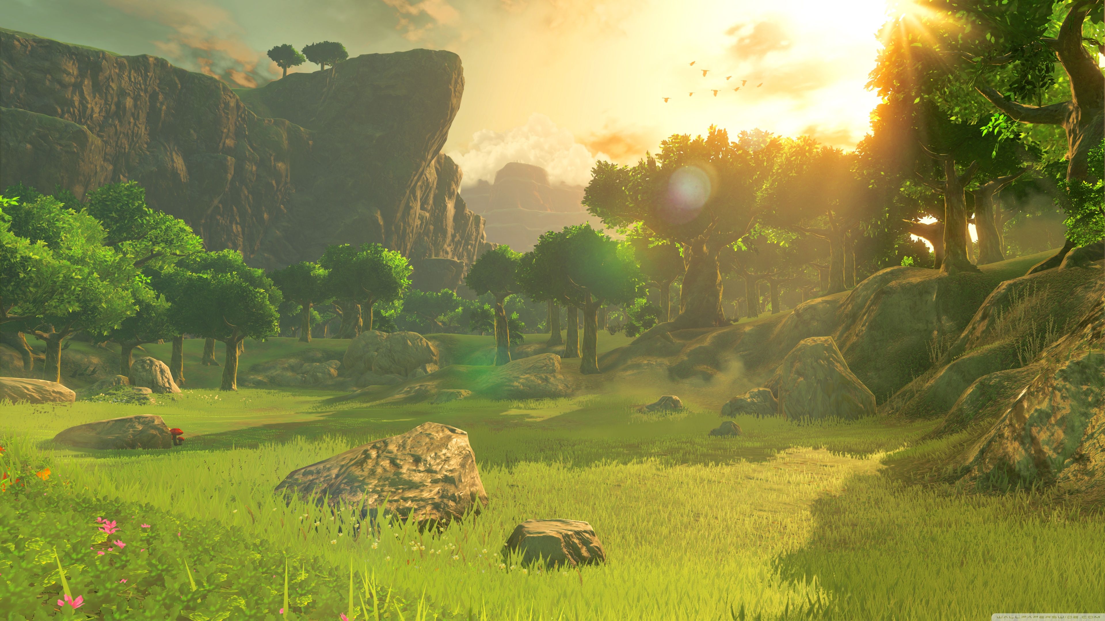 The Legend of Zelda Breath of the Wild Screenshot ❤ 4K HD Desktop