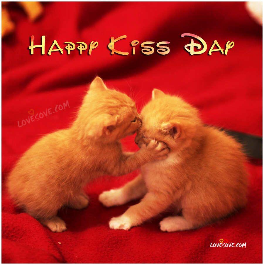 happy kiss day wallpaper happy kiss day kittens kissing