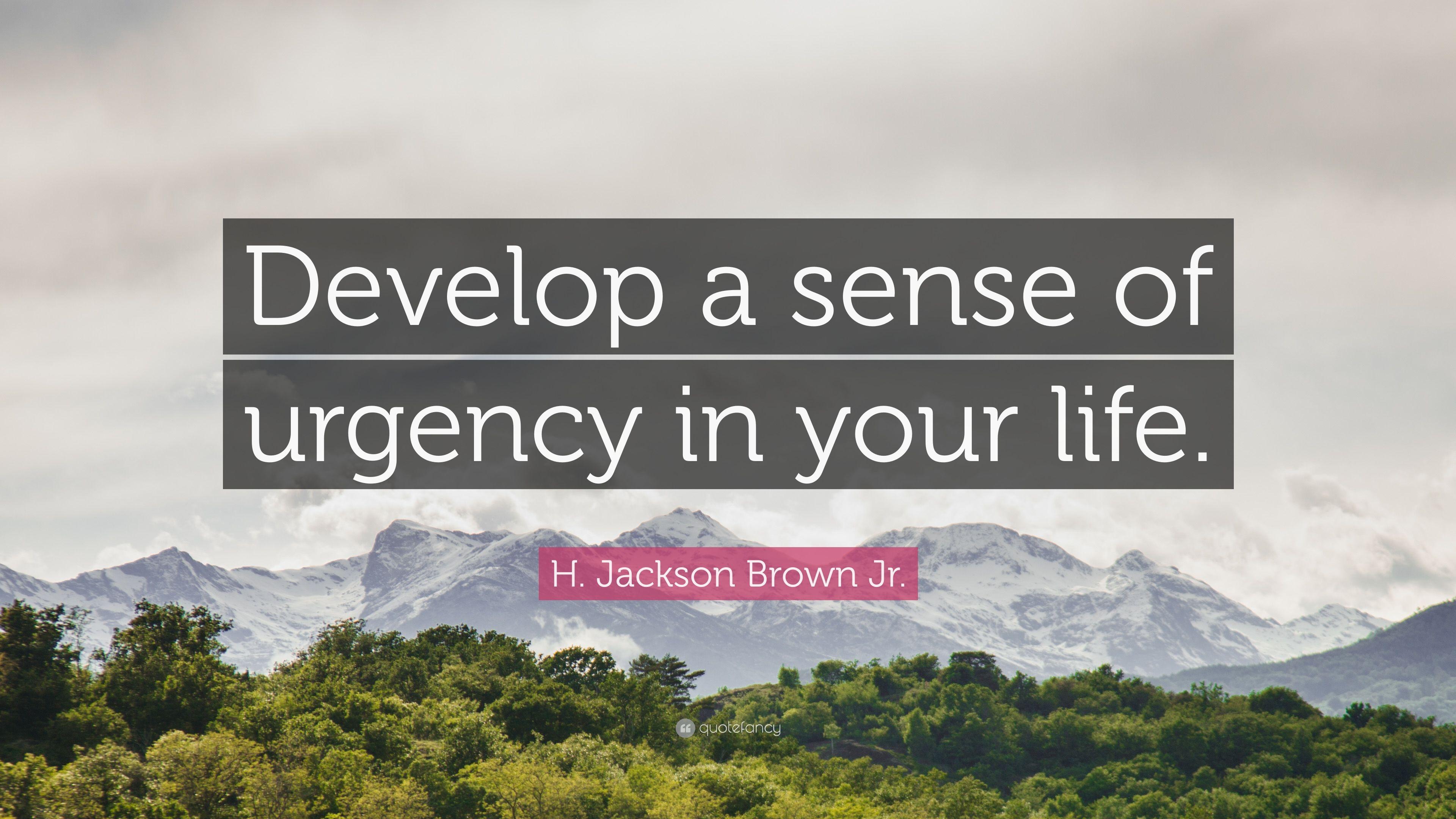 H. Jackson Brown Jr. Quote: “Develop a sense of urgency in your
