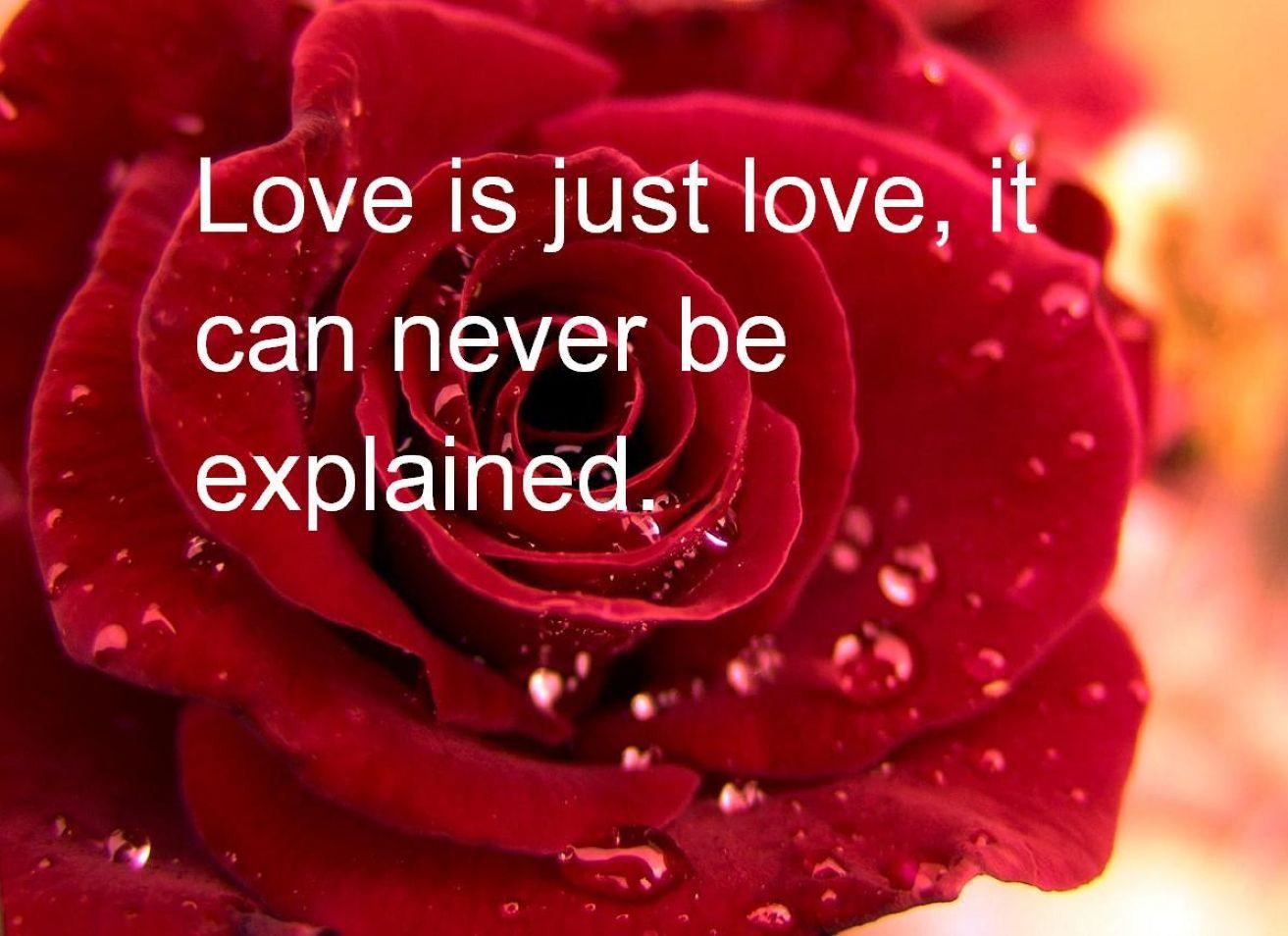 Cute Valentines Day Quotes Wallpaper: Desktop HD Wallpaper