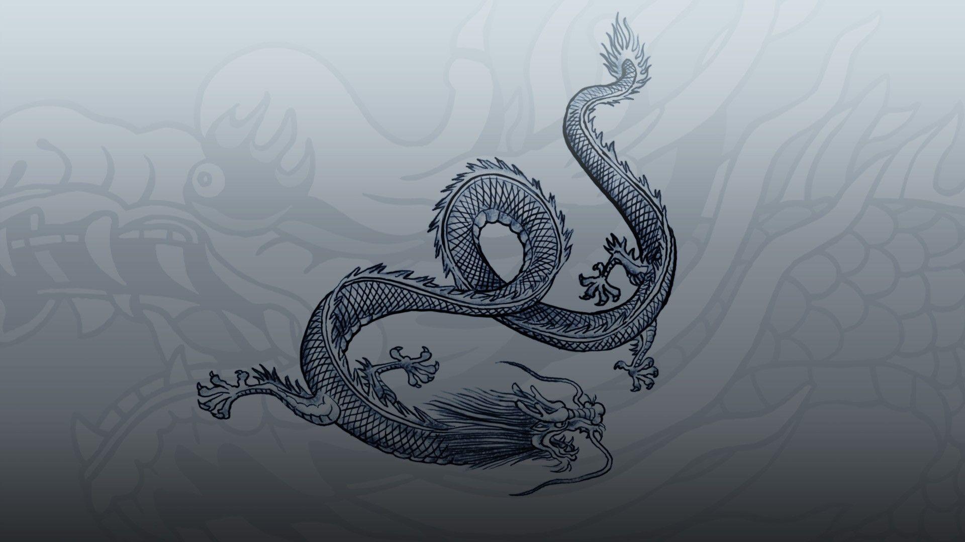 dragon, Sleeping Dogs Wallpaper HD / Desktop and Mobile Background