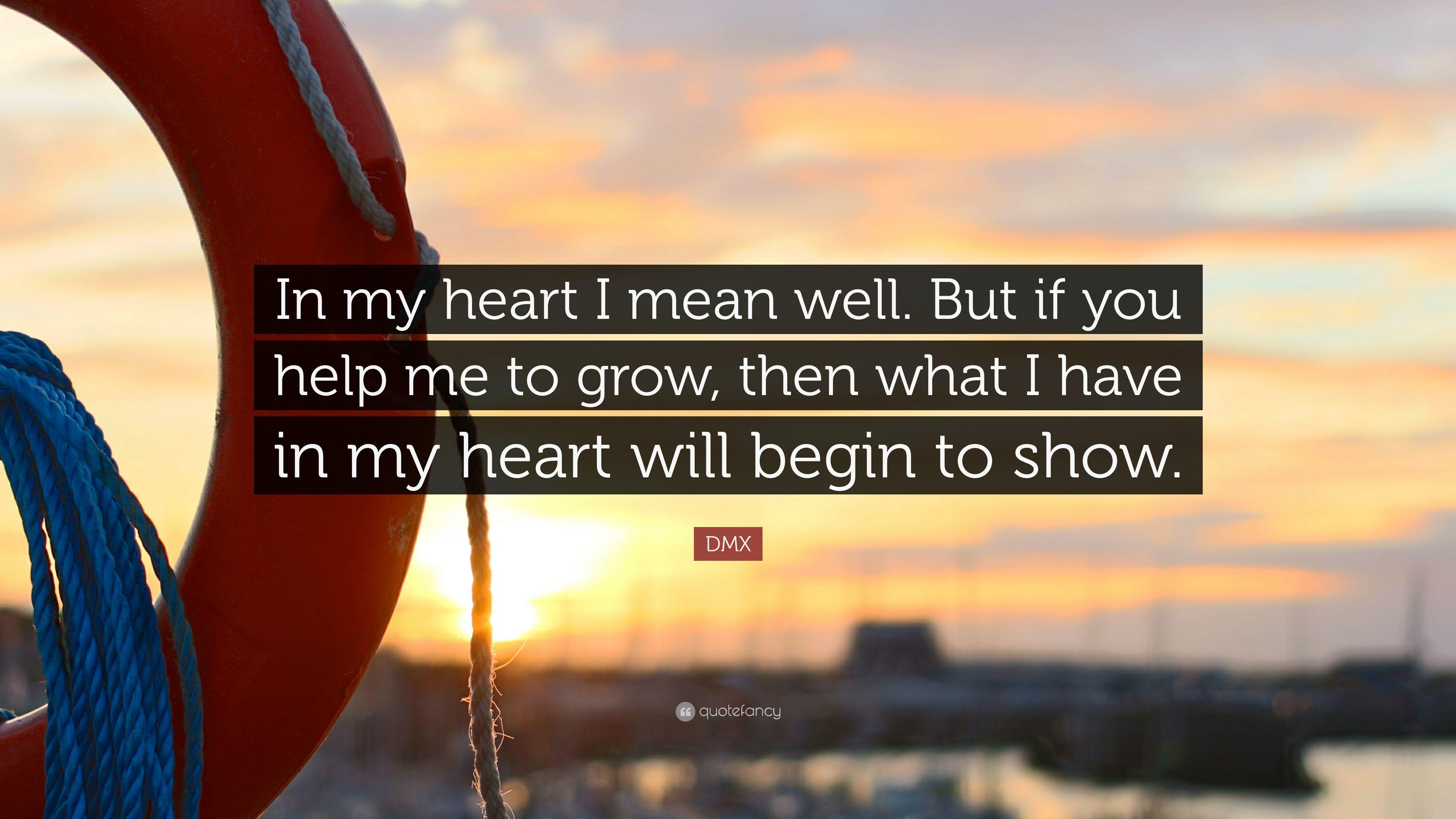 DMX Quote: “In my heart I mean well. But if you help me to grow