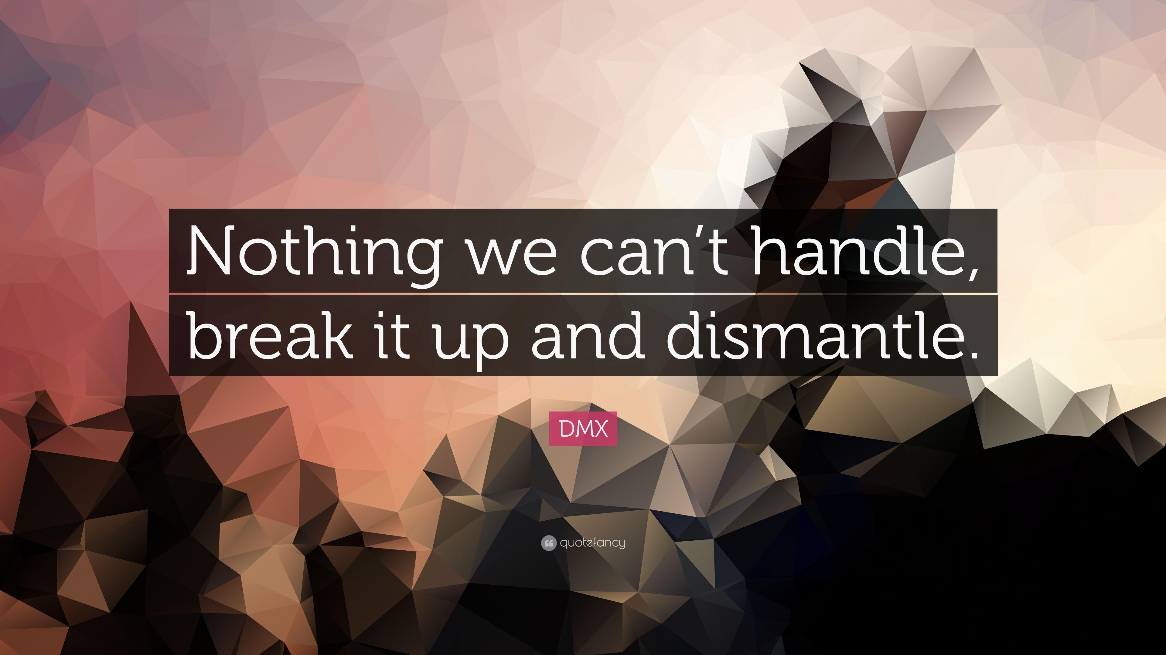DMX Quote: “Nothing we can't handle, break it up and dismantle