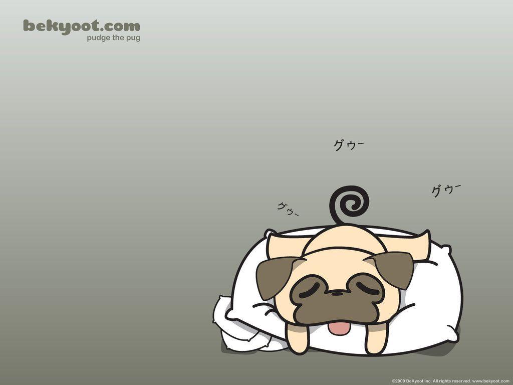 A Sleepy Pug Wallpaper