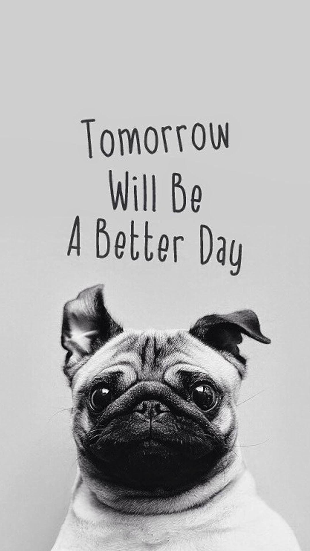Tomorrow Will Be A Better Day Pug Android Wallpaper free download