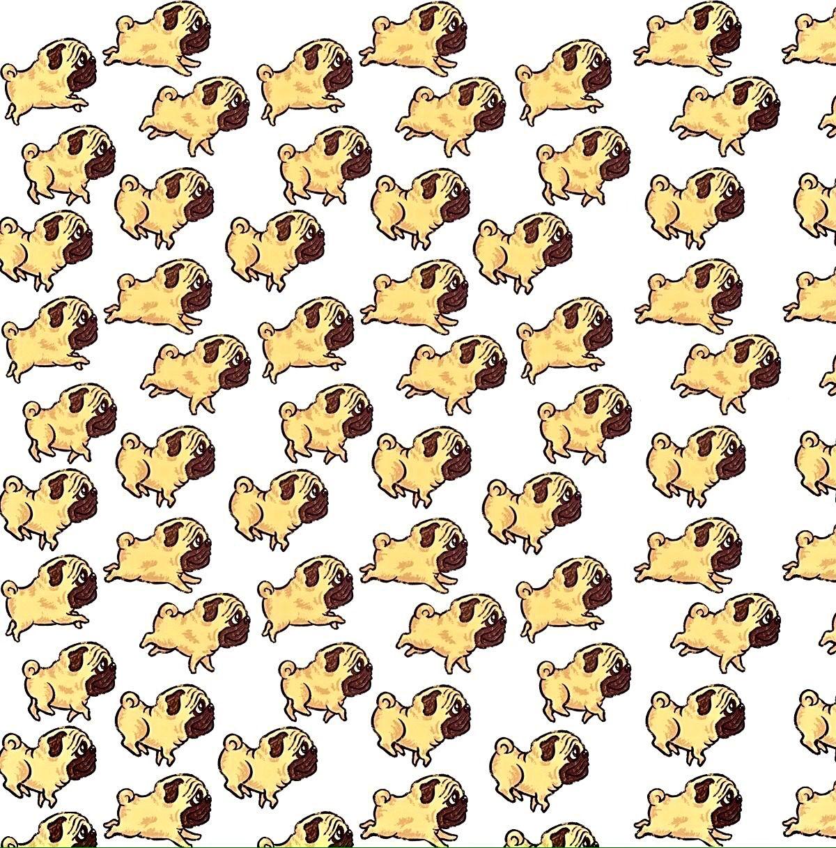 Pug puppy background