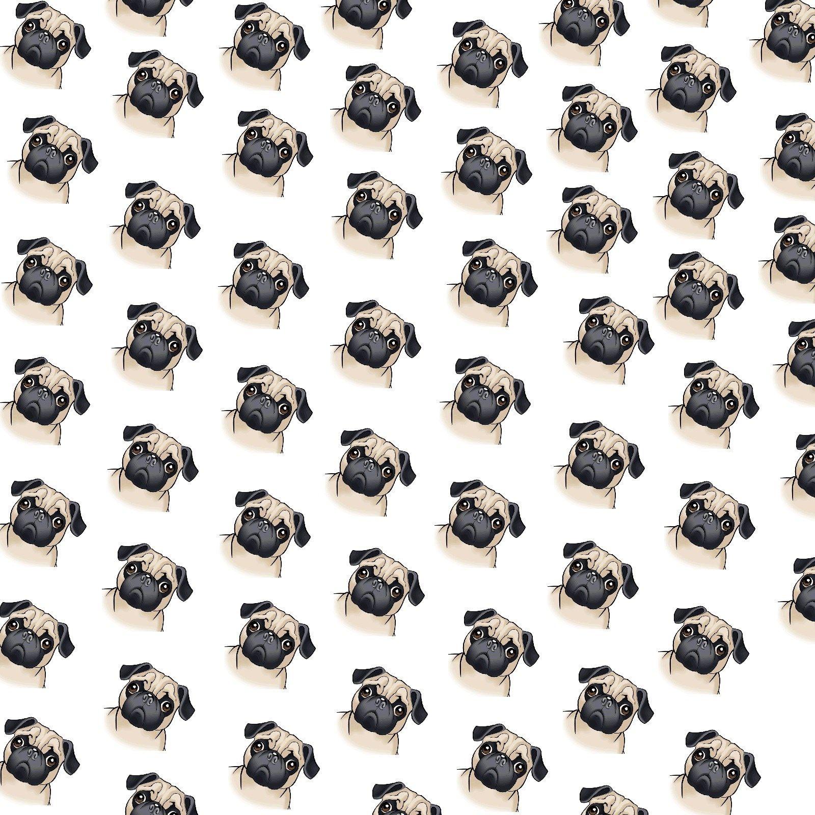 Drawn pug tumblr background and in color drawn pug