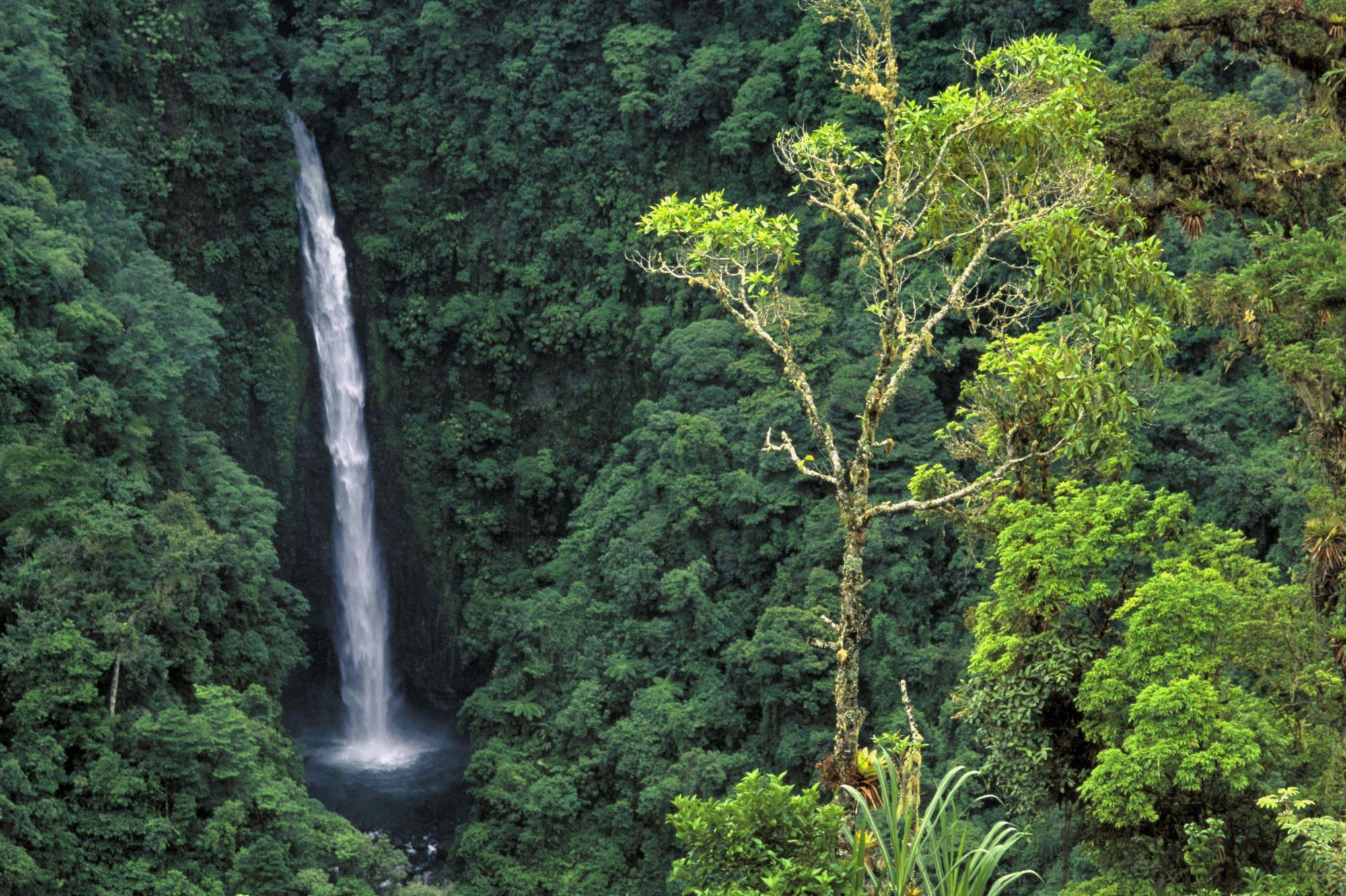 Angel Falls (a.k.a. Congo Falls) Cordillera Central Costa Rica