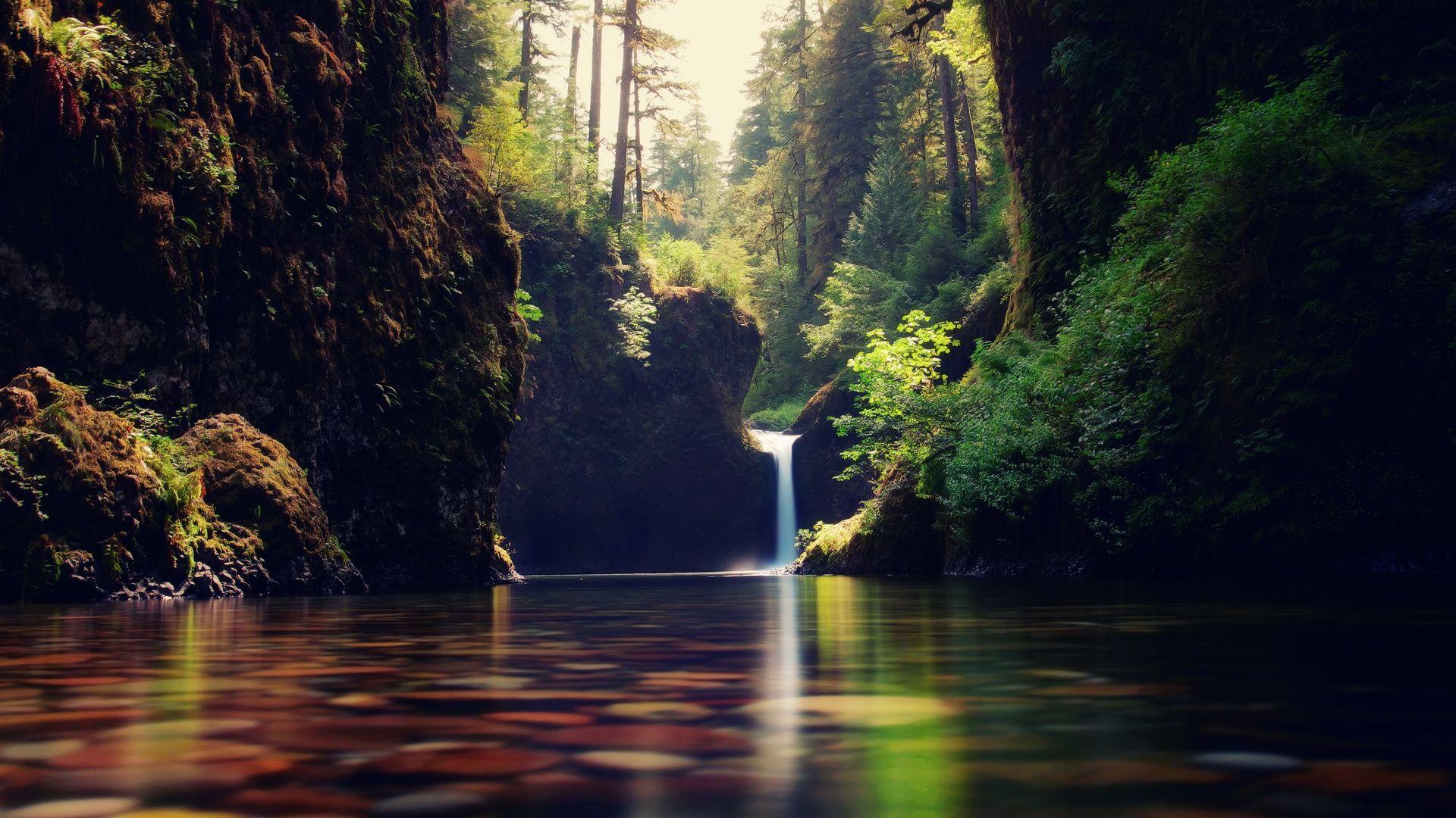 forest waterfall HD Desktop Wallpaperk HD