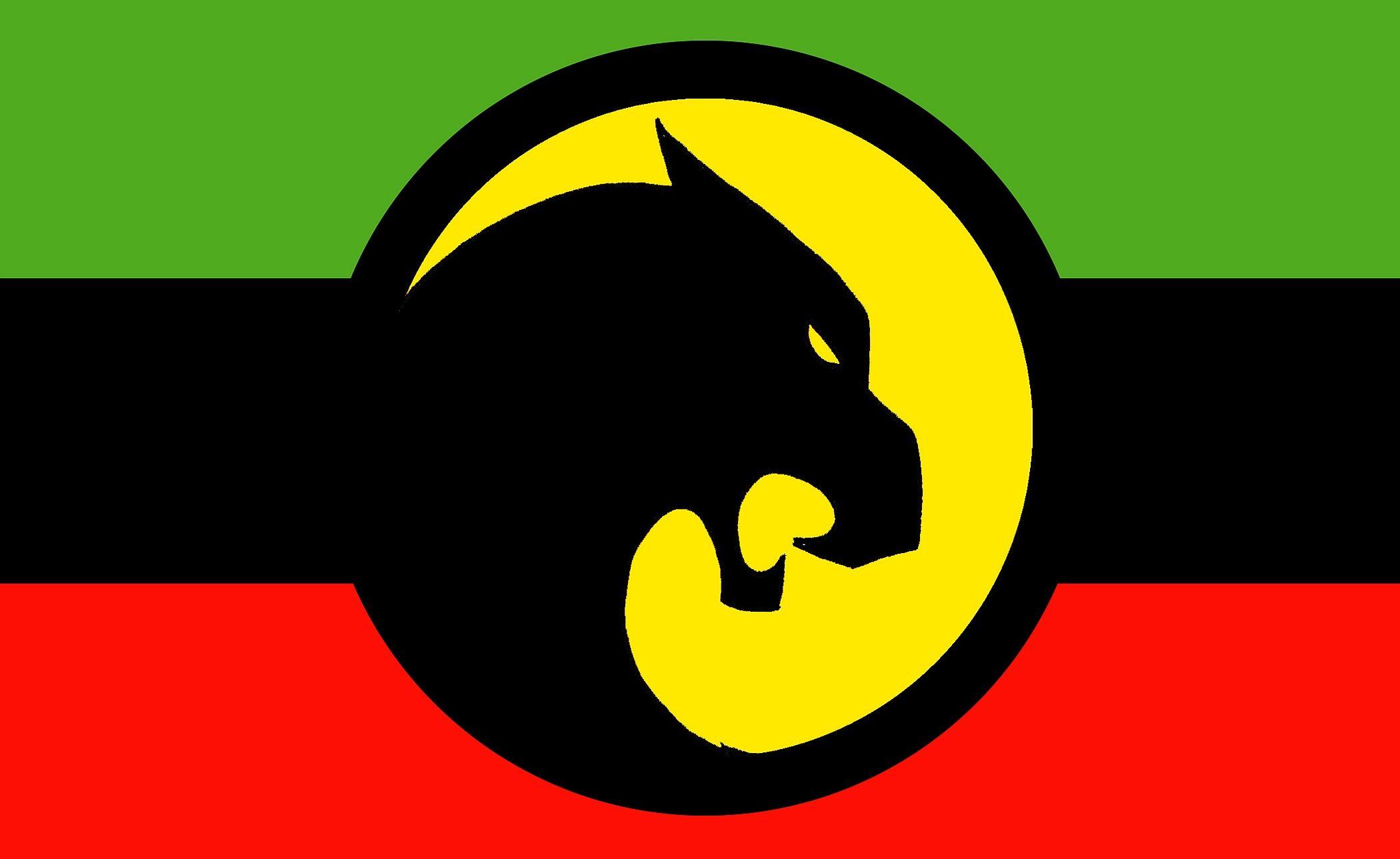 Flag of Wakanda HD Wallpaper and Background Image