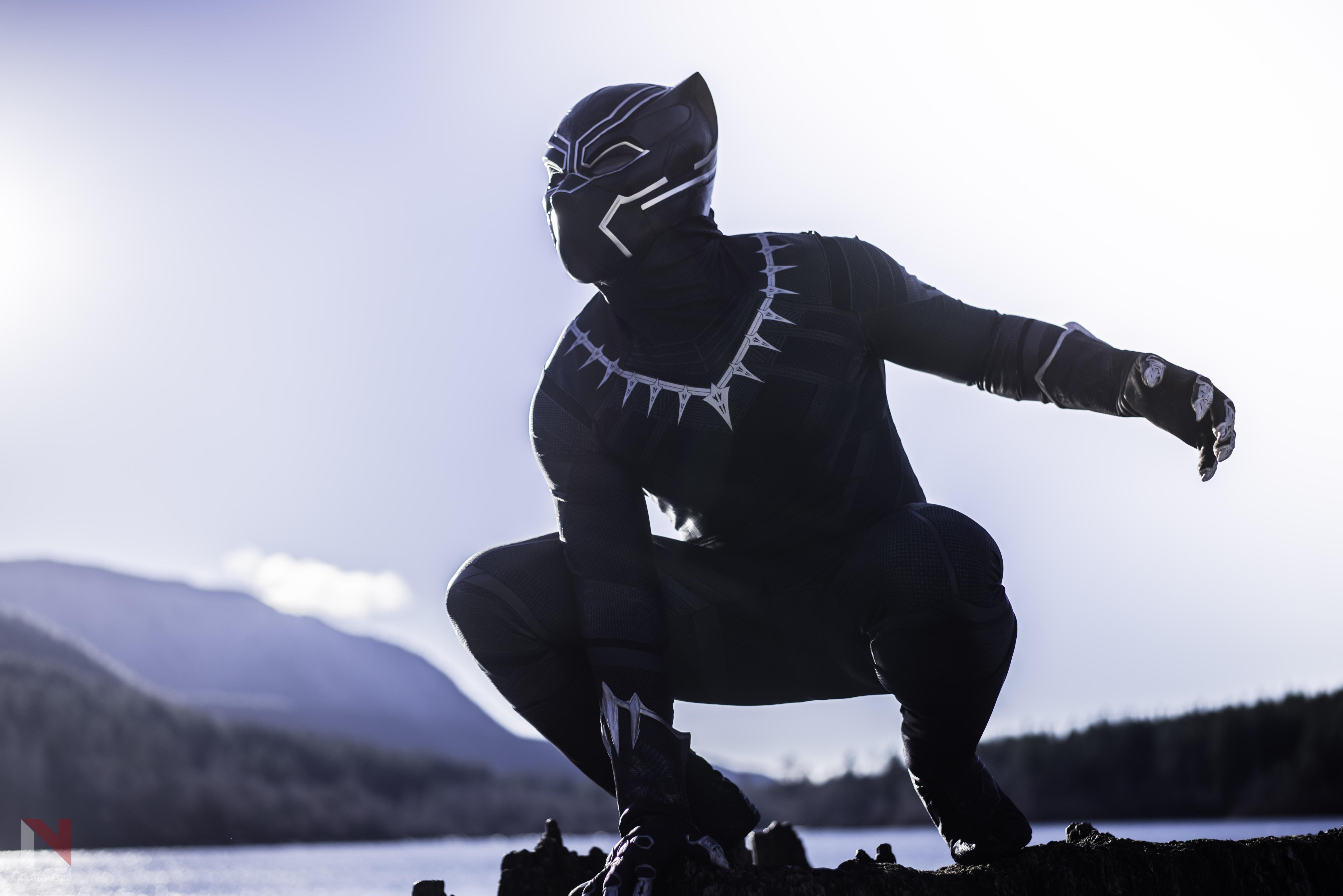 Black Panther The Protector Of Wakanda, HD Movies, 4k Wallpaper