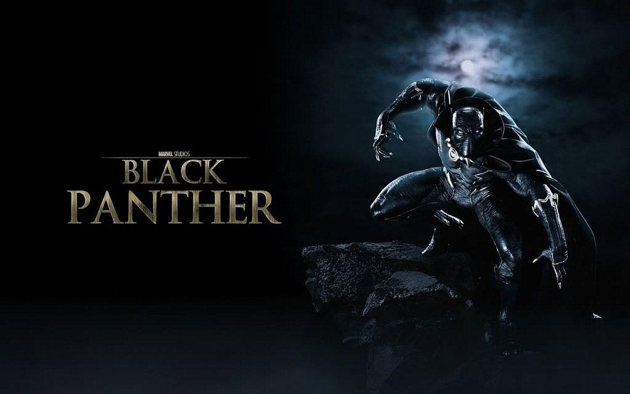 Stan Lee Says Marvel Is Working On Live Action Black Panther Film