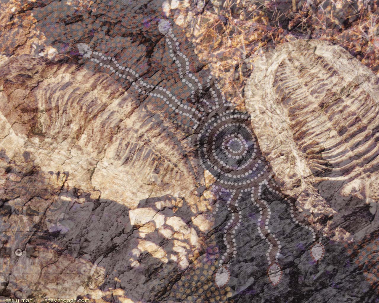 Wallpaper & Desktop Picture