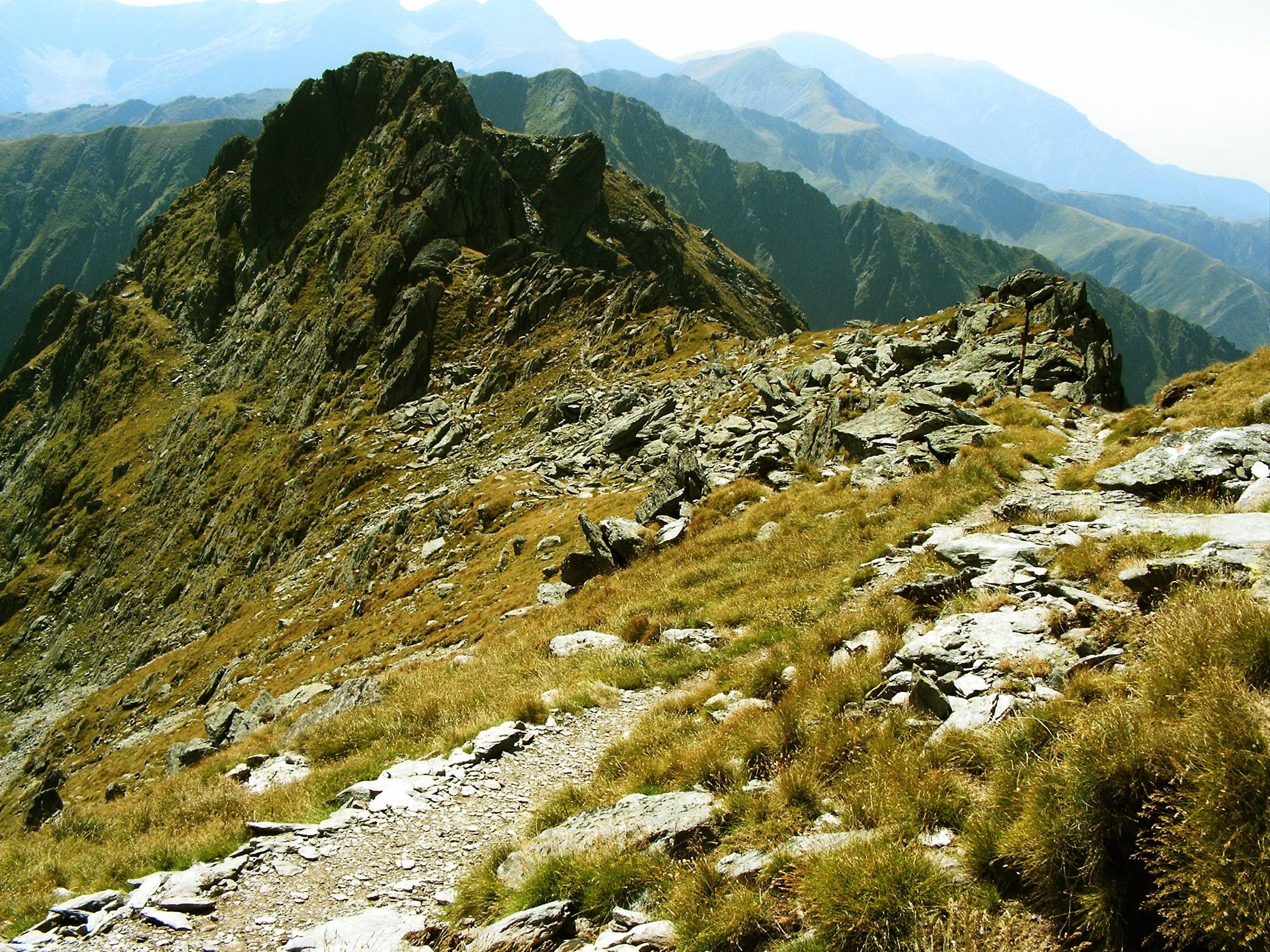 Mountains: Romania Trekking Mountains Mountain Fagaras Peaks