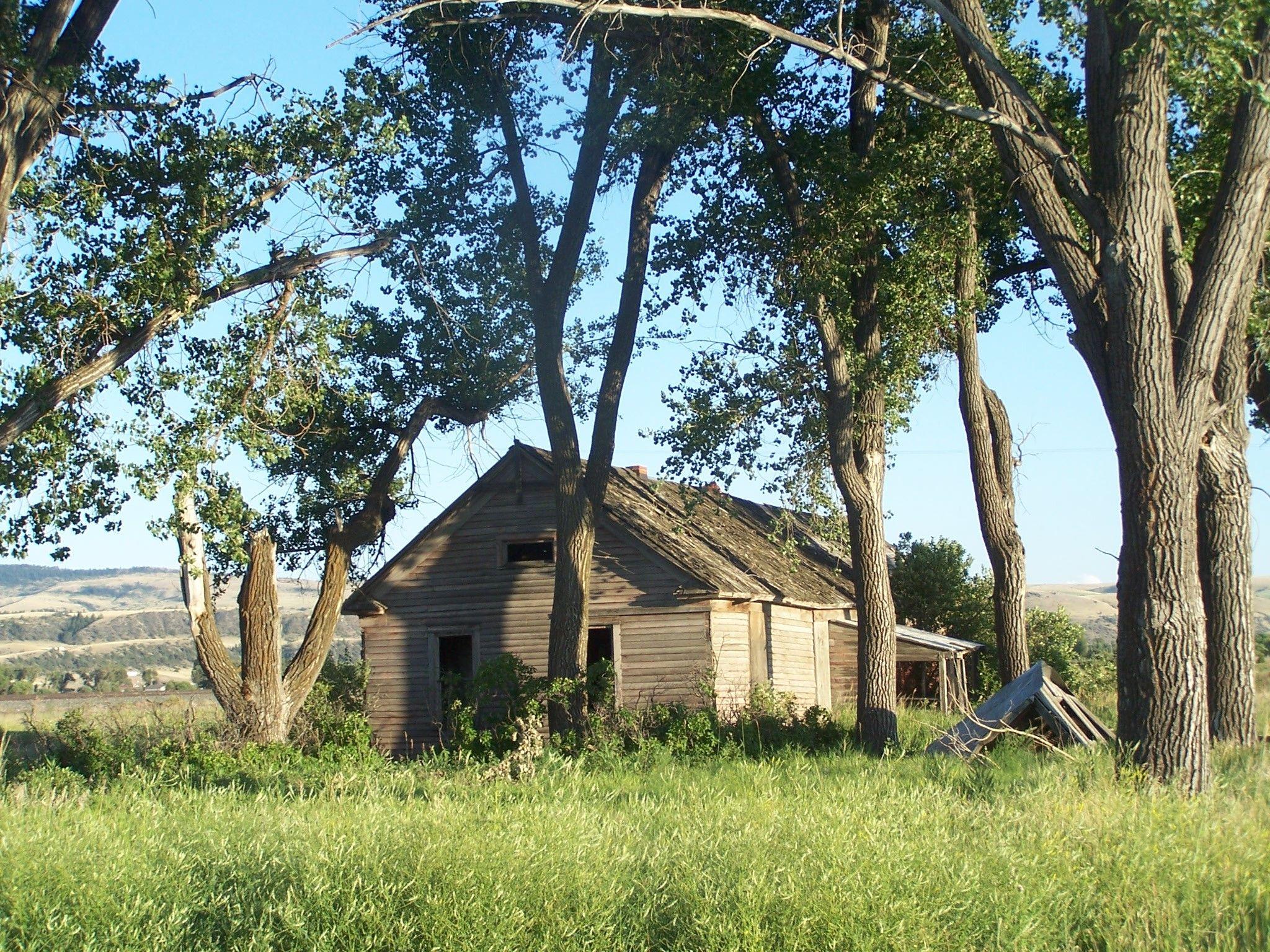 Houses: Days Gone Homestead House Antique Old Trees Fullscreen