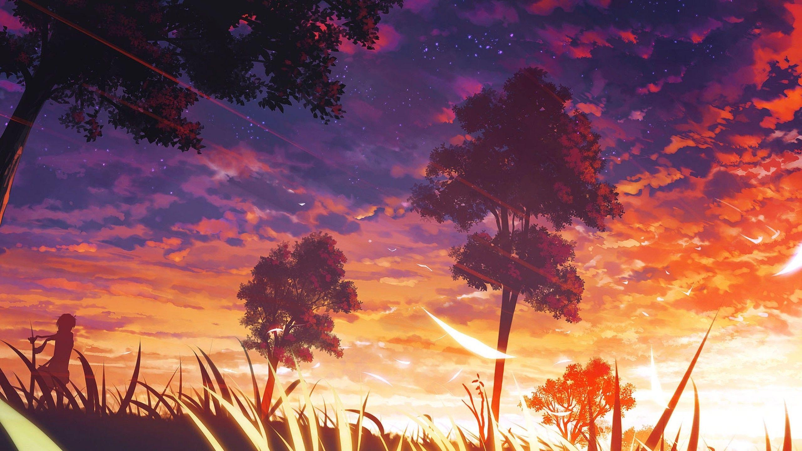 Wallpapers : sunlight, trees, sunset, anime, sky, sunrise, evening