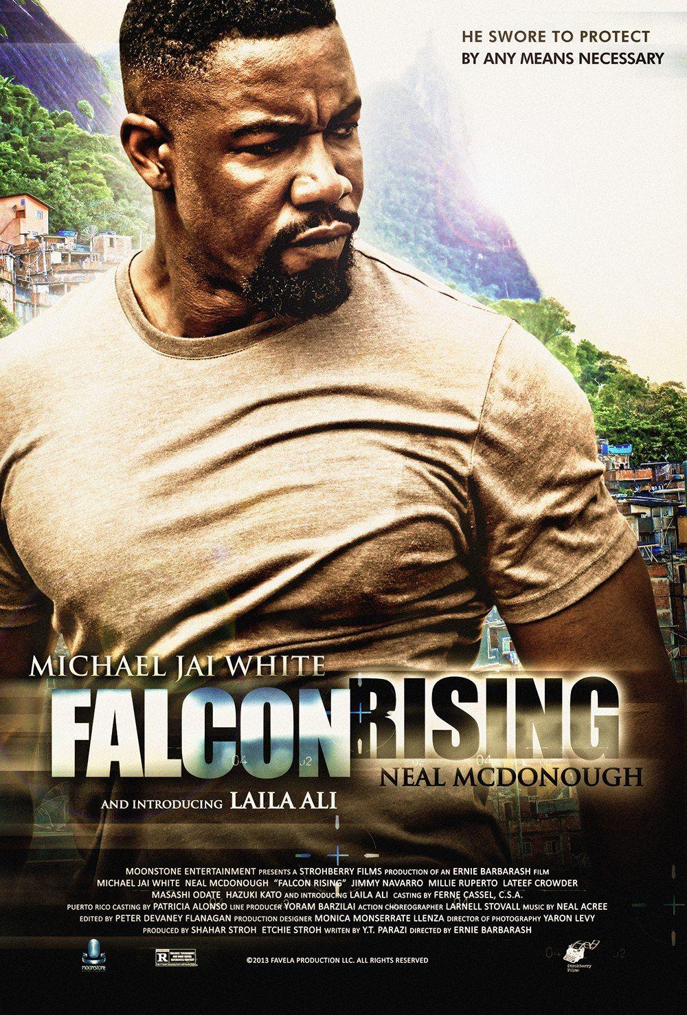 Falcon Rising wallpaper, Movie, HQ Falcon Rising pictureK