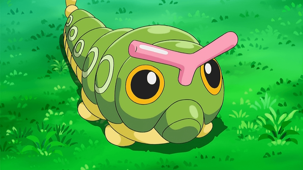 Caterpie (Grass Bug). Pokémon :D. Grasses, Pokémon