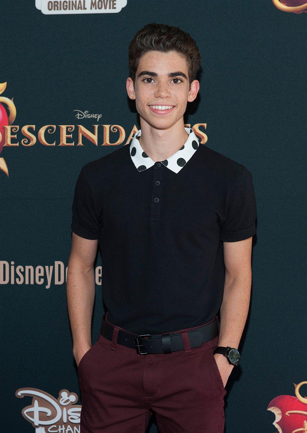 Descendants Premiere: Birthday Party, Concert, and High School