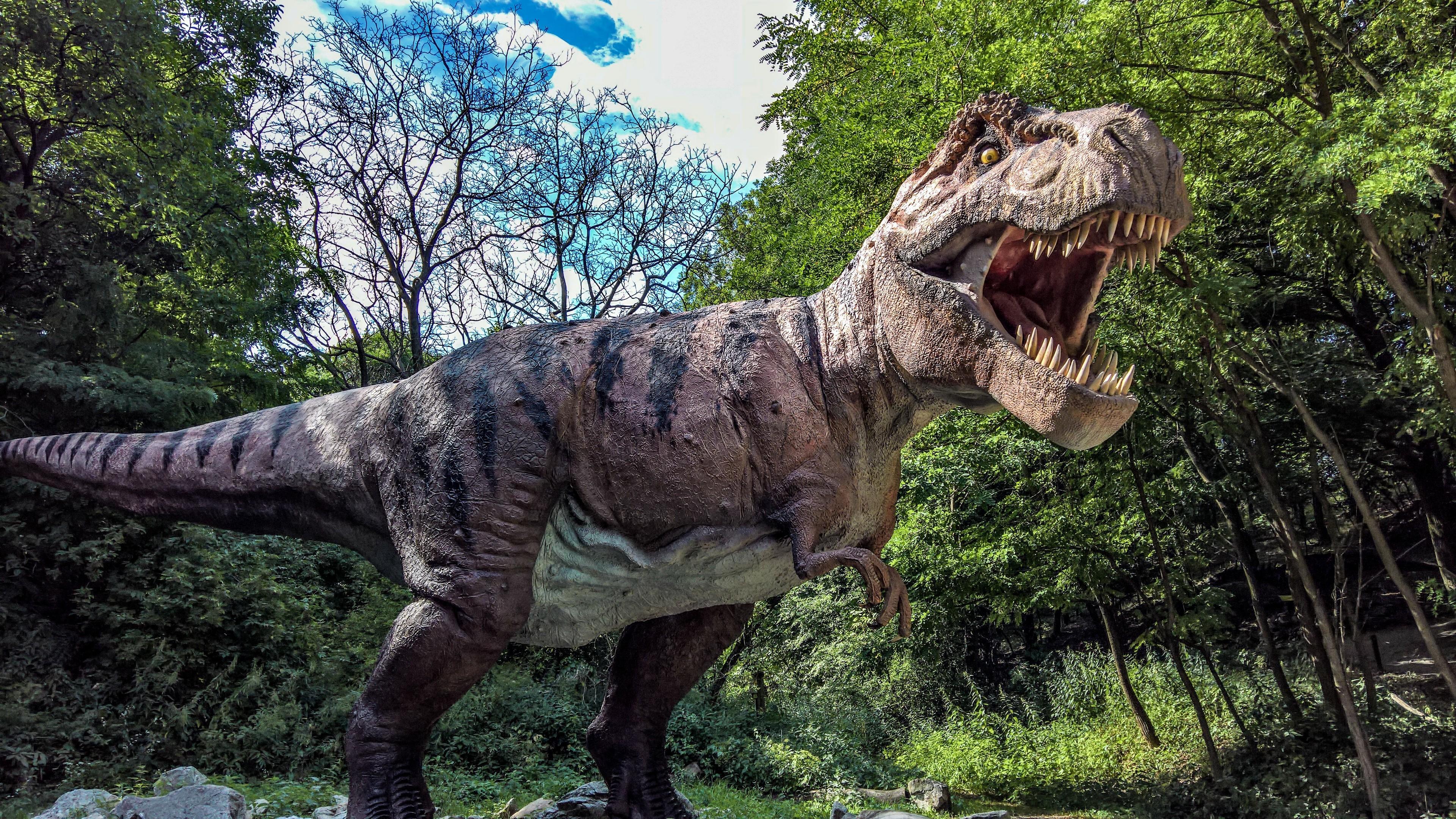 T Rex Dinosaur Wallpapers Wallpaper Cave T Rex Dinosaur Wallpapers Wallpaper Cave