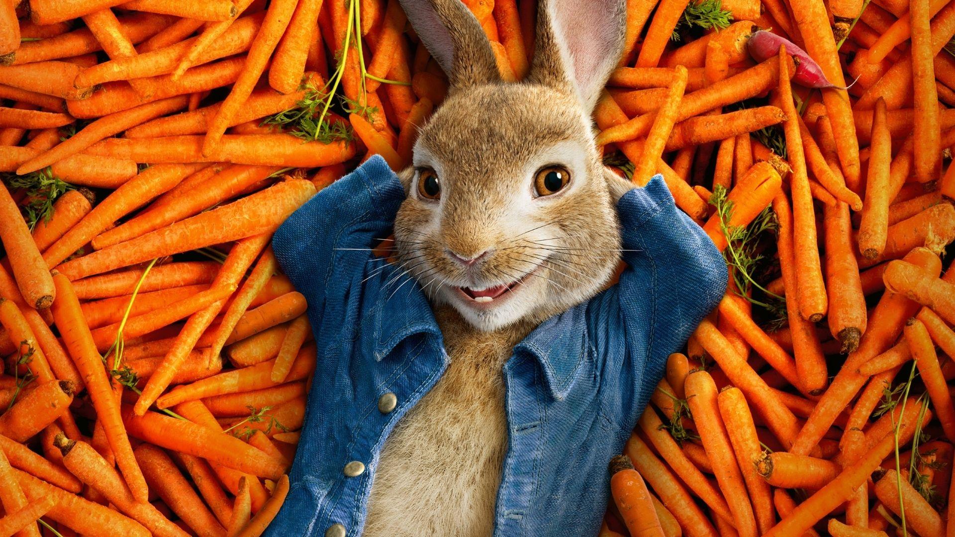 Download Peter Rabbit 2018 Movie Poster 1920x1080 Resolution, Full