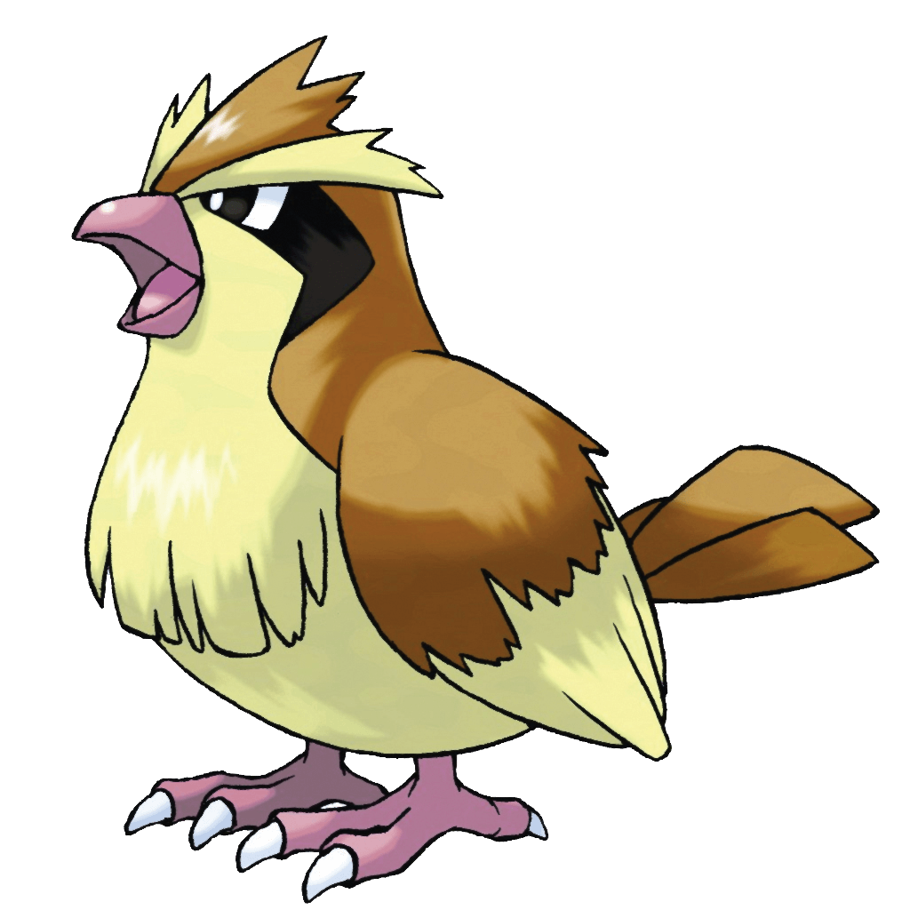 Pidgey common sight in forests and woods. It flaps its