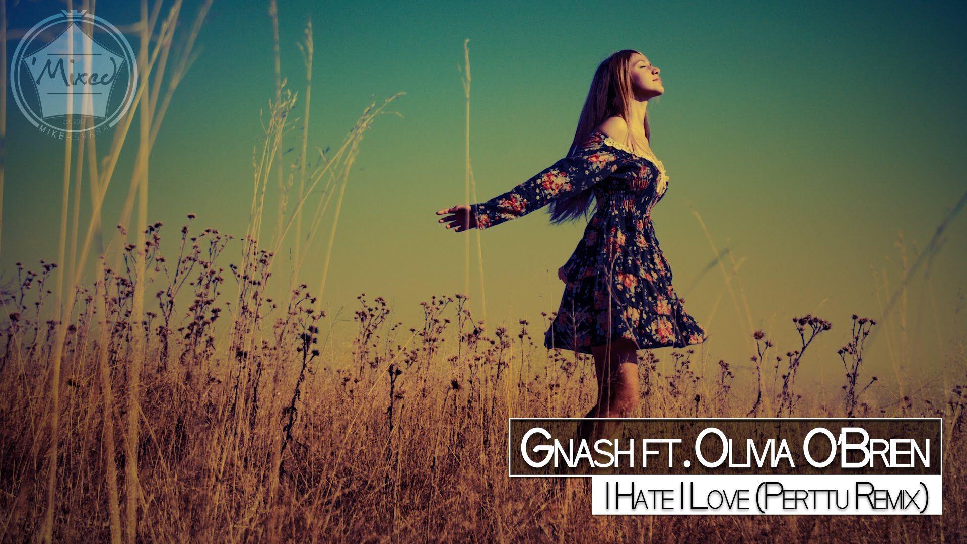Gnash ft. Olivia O'Brien Hate I Love (Perttu Remix)