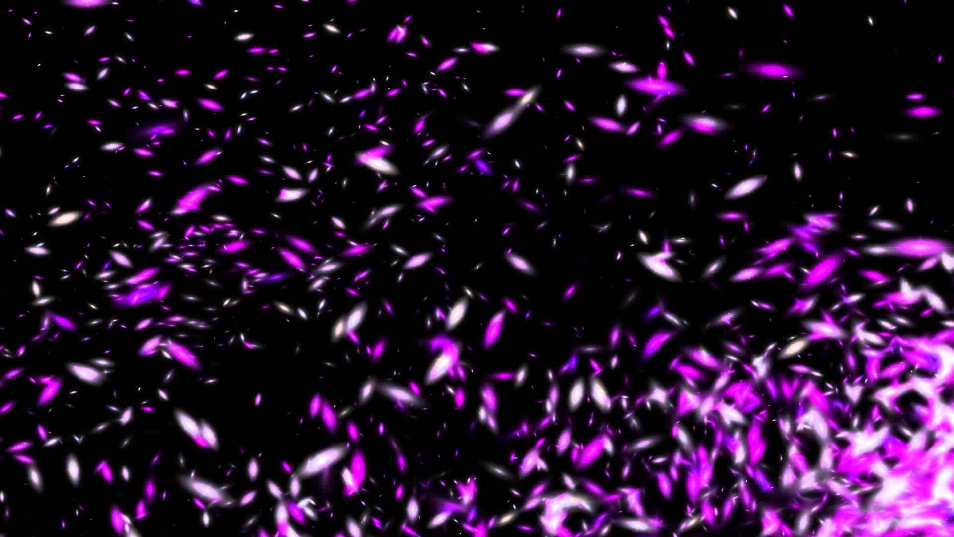 Sparkles Free Background ANIMATION FREE FOOTAGE HD Multicolor Pink