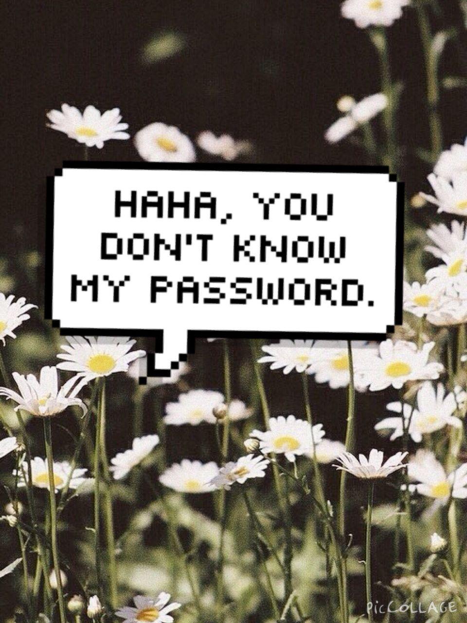 HAHA, you don't know my password.