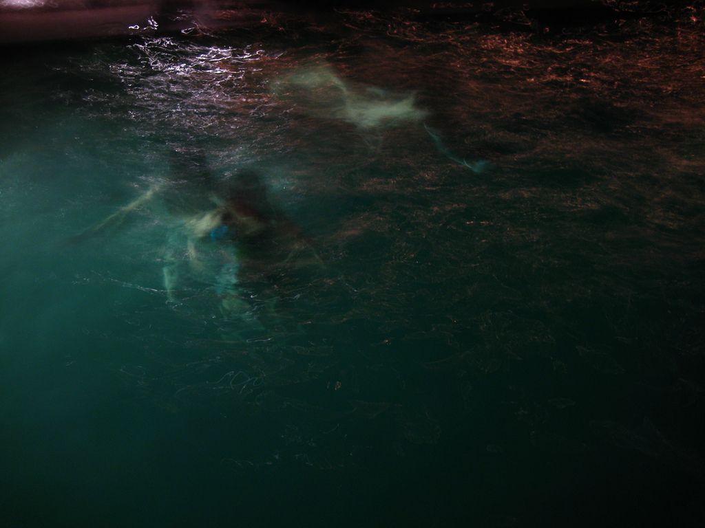 latenight swim or a photohoot for an unreleased cocteau t