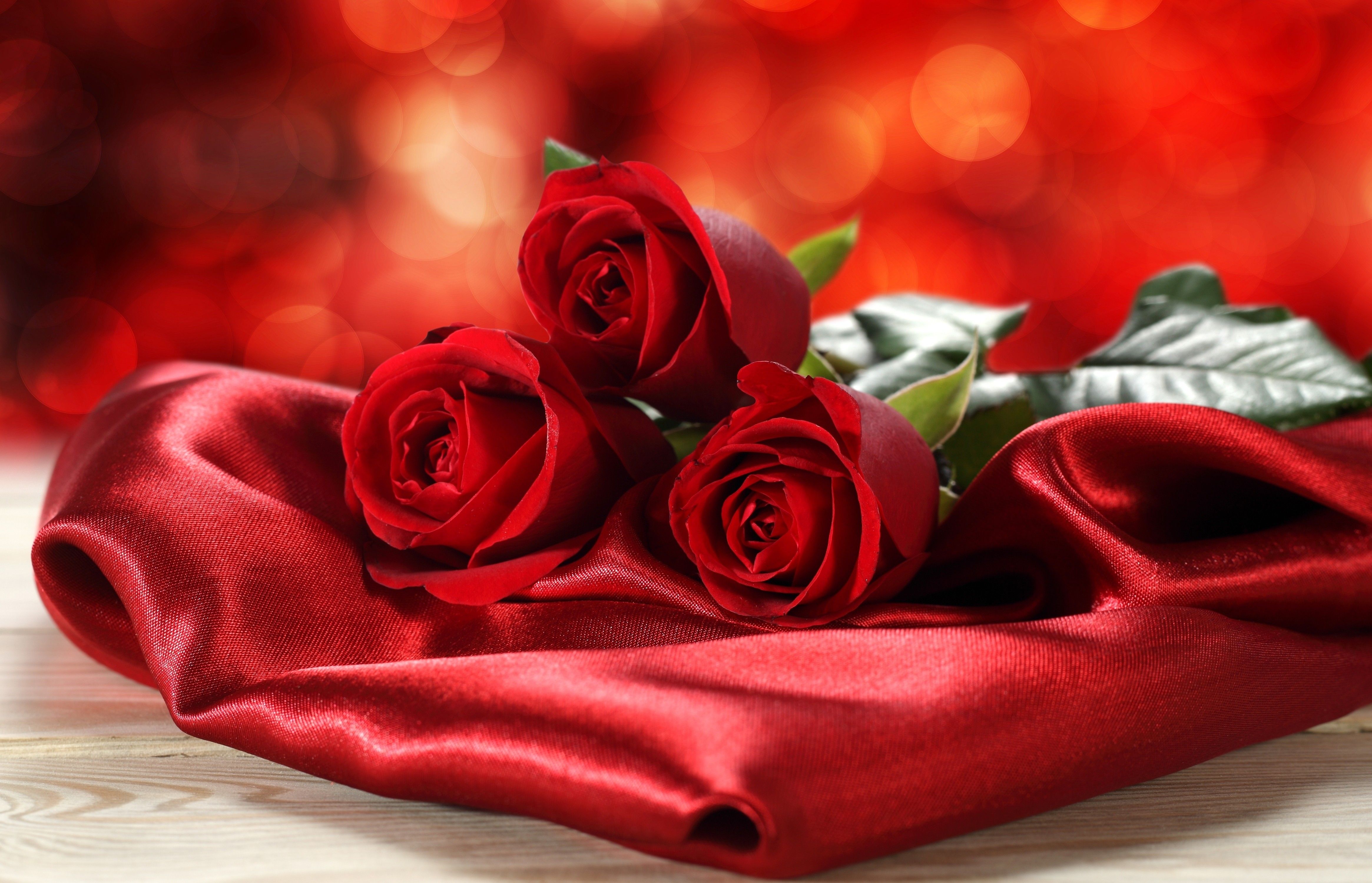 Flower Photography Satin Valentine Day Red Flowers Rose Love