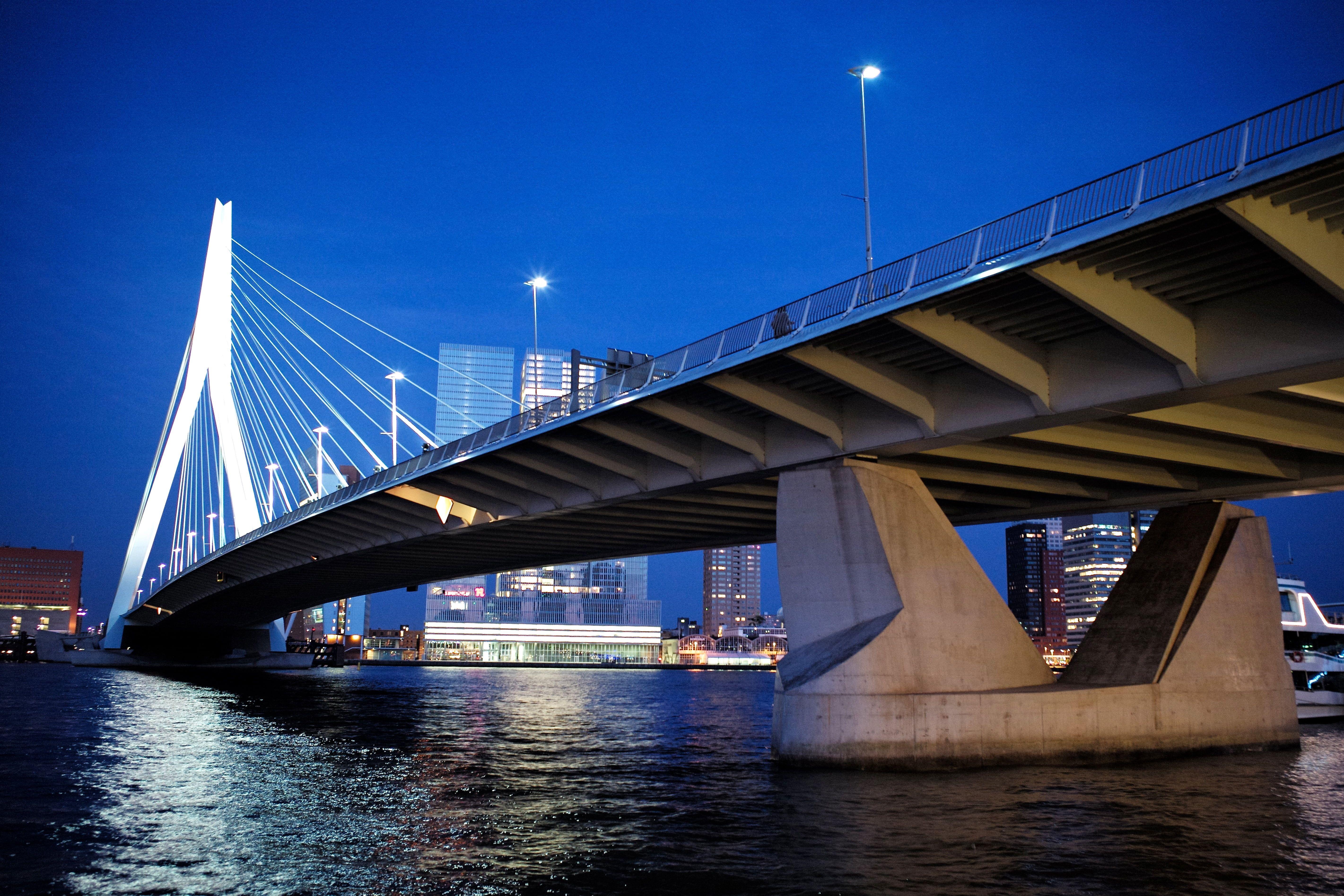 Suspension bridge on body of water during nighttime HD wallpaper