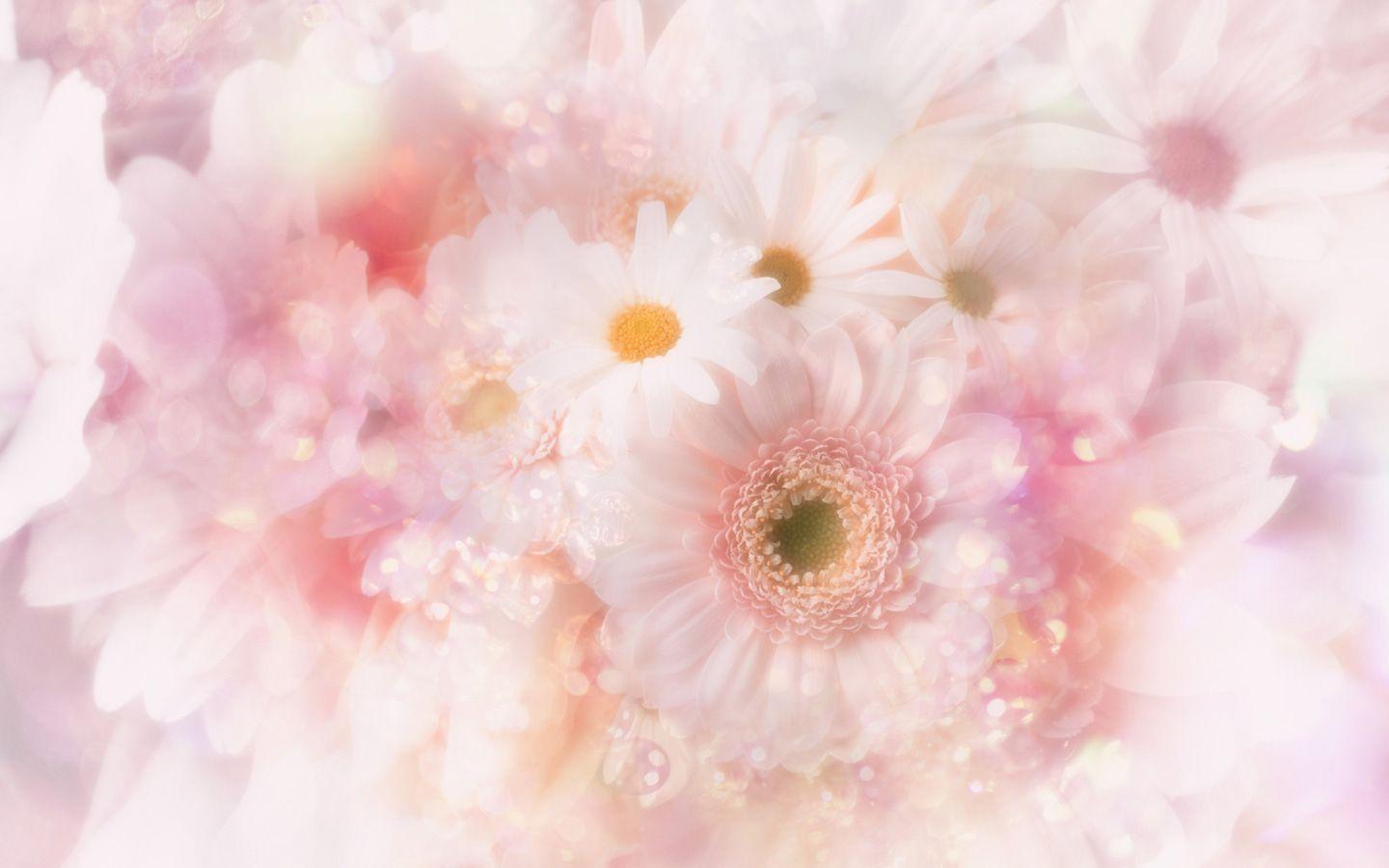 Download Wallpaper Flowers HD Image Desktop Winter