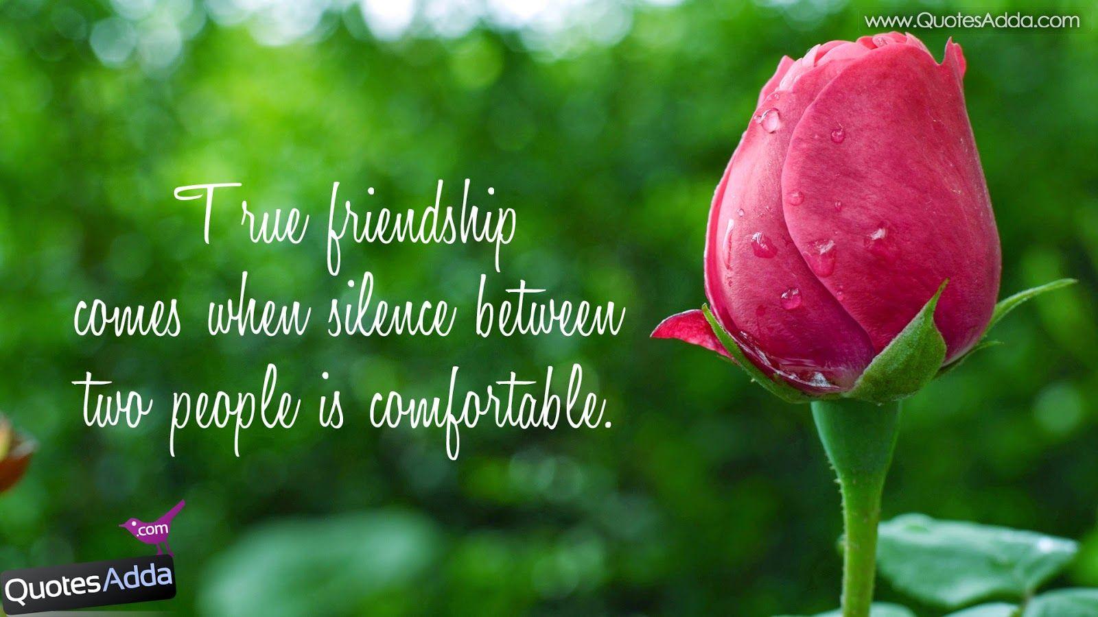 Cute Friendship Quotes With Image Friendship wallpaper 1600x900
