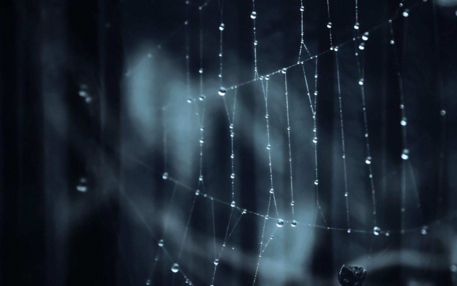 background dark web wallpaper