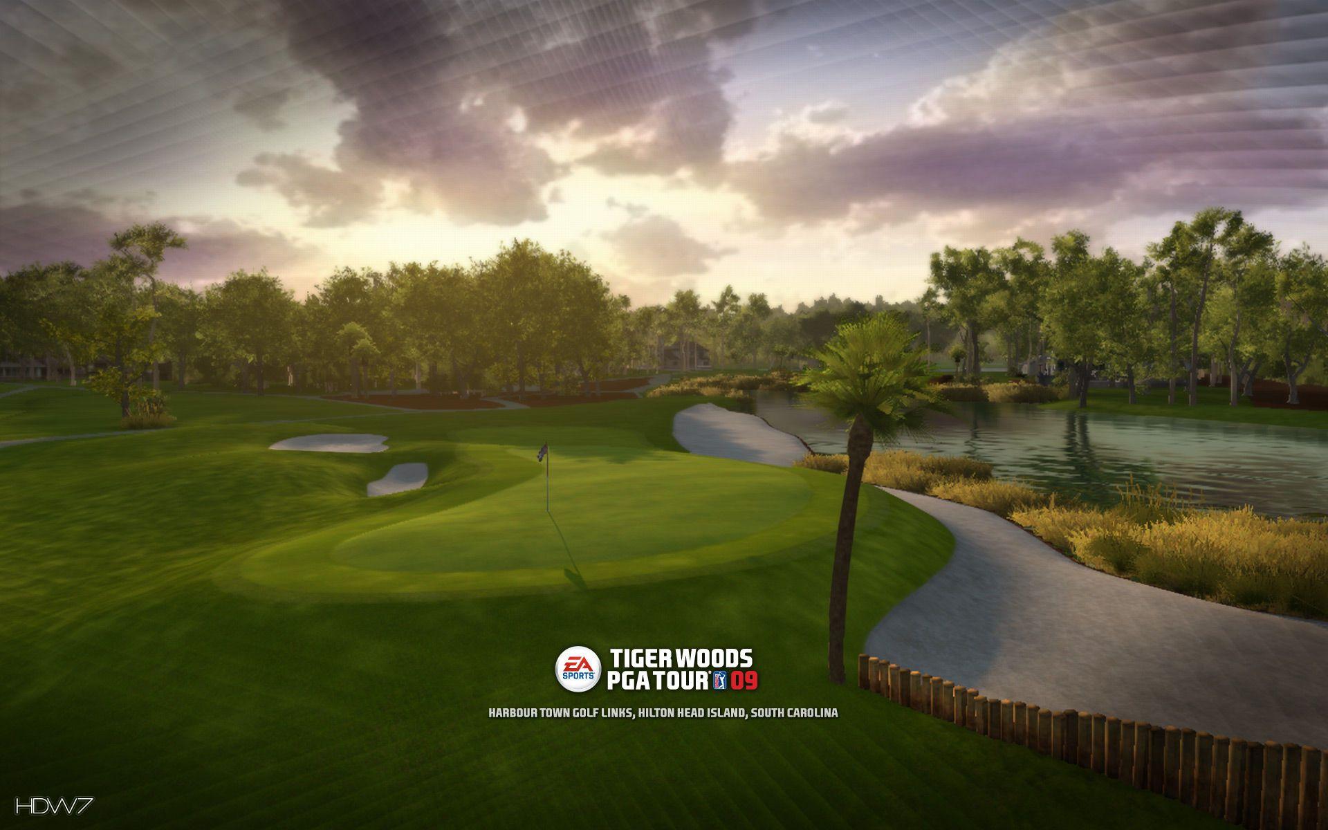 tiger woods pga tour 09 harbourtown widescreen wallpaper. HD