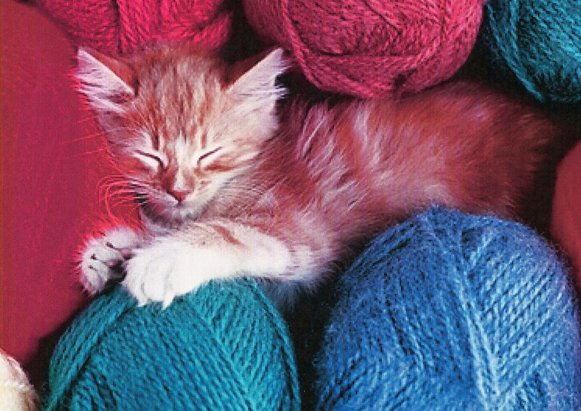 Kittens And Yarn Wallpaper High Quality