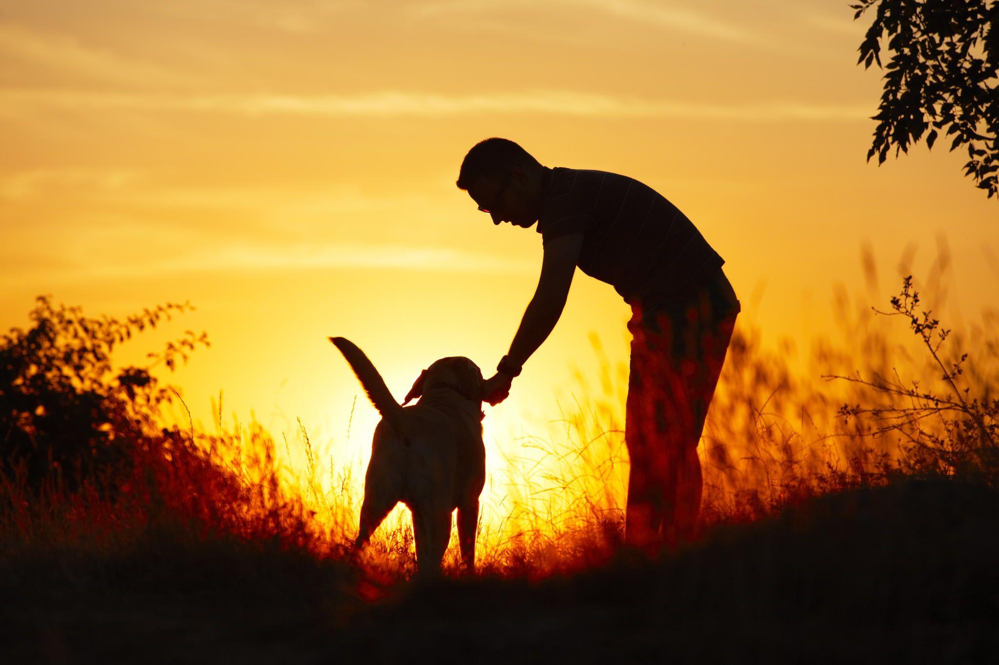 a man and his dog at sunset Full HD Wallpaper