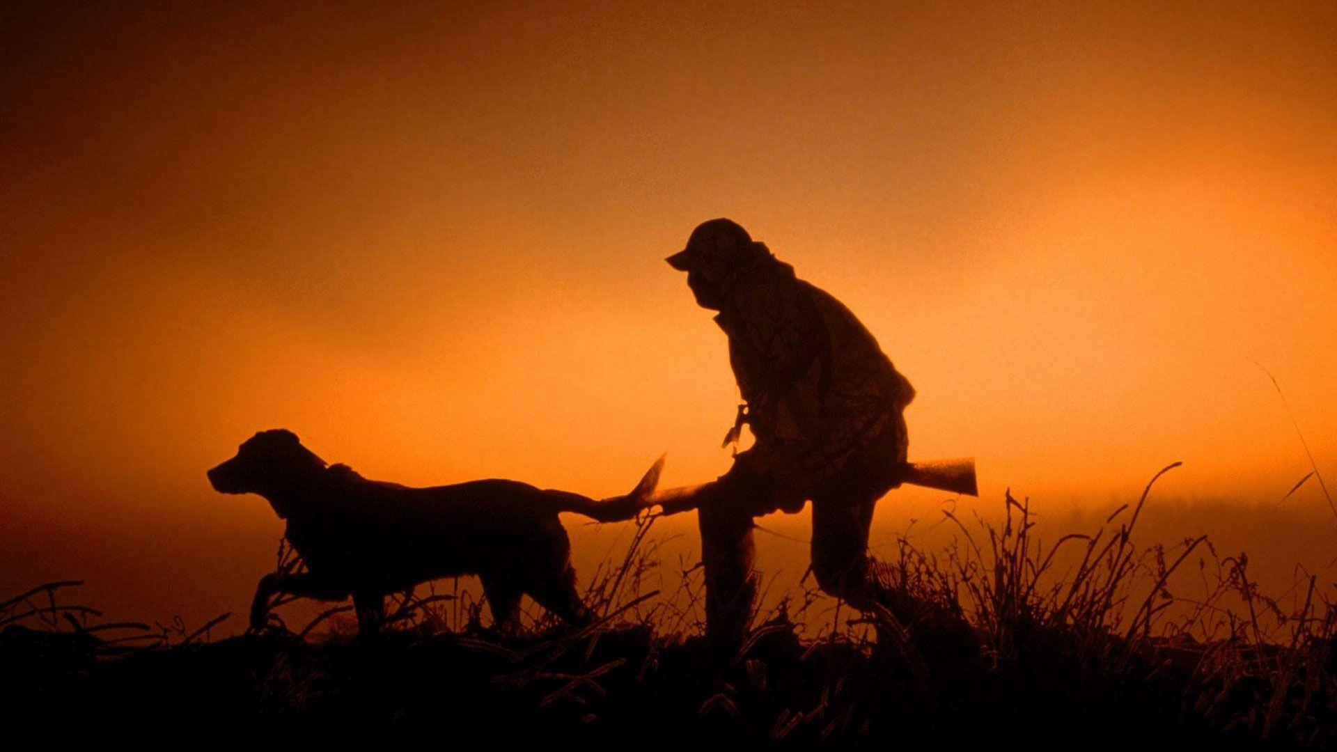 ATTRACTIVE HUNTING WITH DOG GUN MAN HD QUALITY DESKTOP BACKGROUND