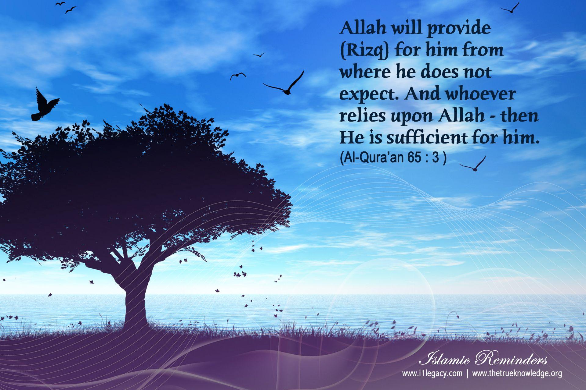 Allah the best provider. True Knowledge of Islam