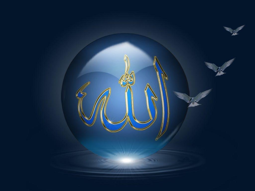Beautiful Allah Name Wallpaper (1024×768). Oiseaux