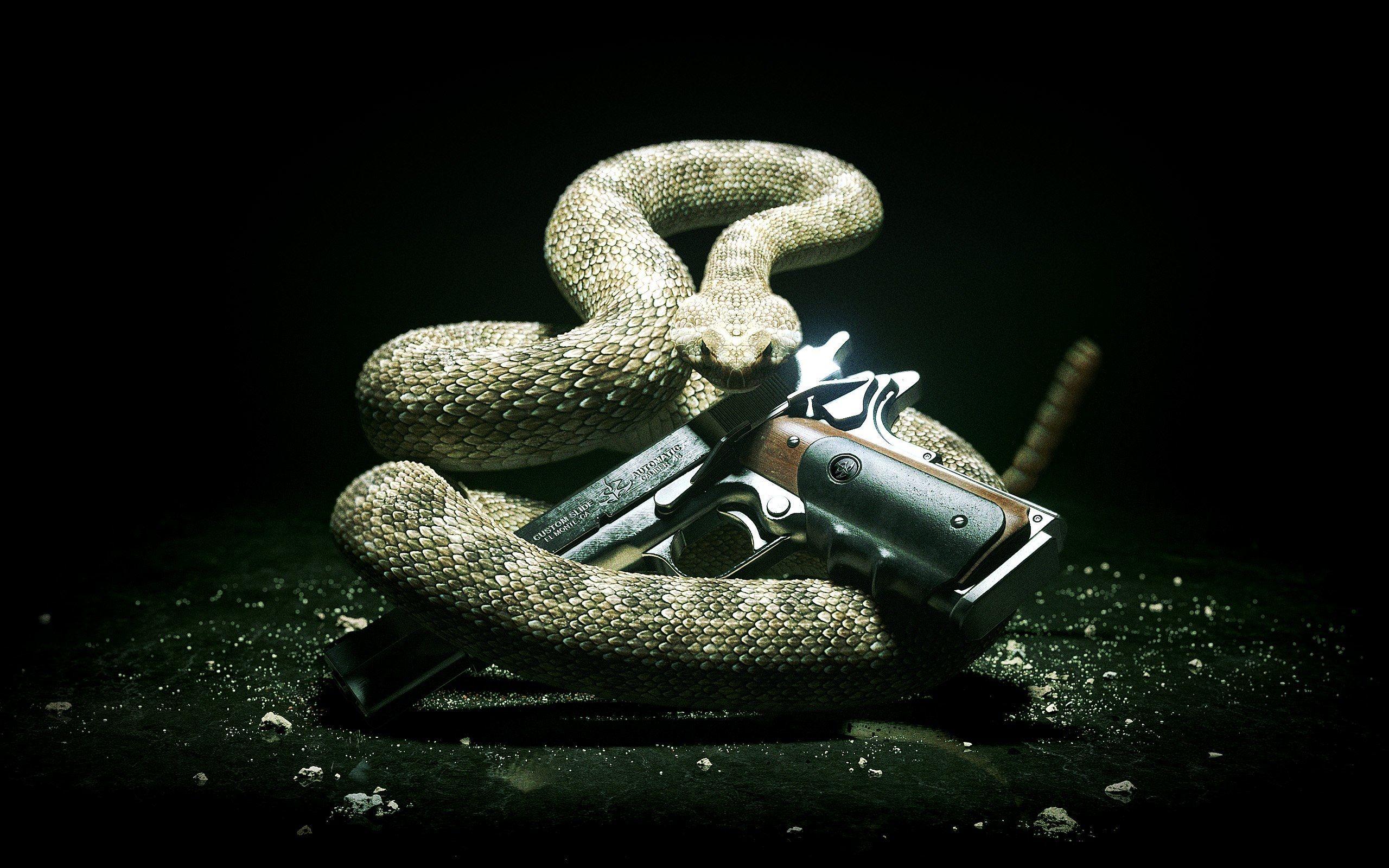 Download Hitman Absolution Snake and Gun HD Wallpaper High
